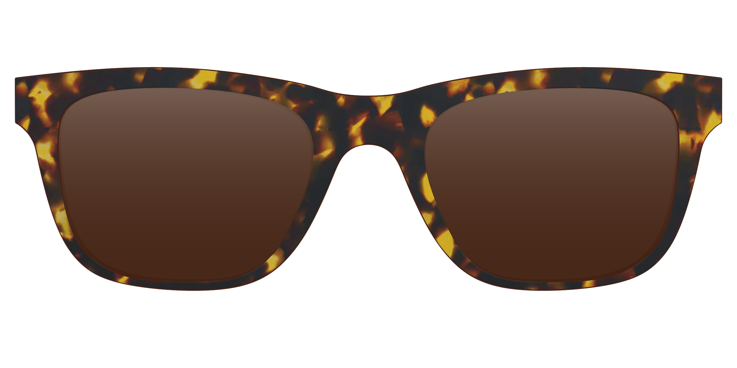 The Polarized Tortoise Sun Top - Image 14