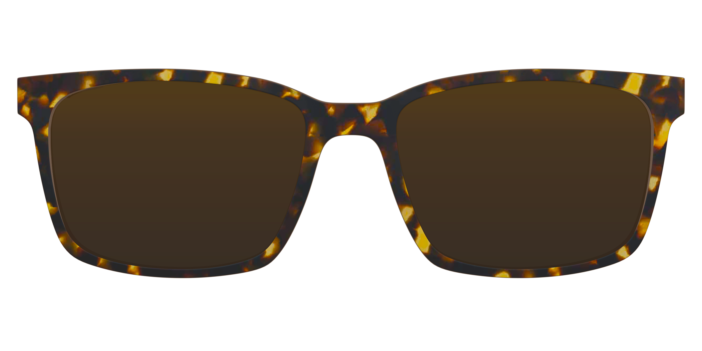 The Polarized Tortoise Sun Top - Image 6