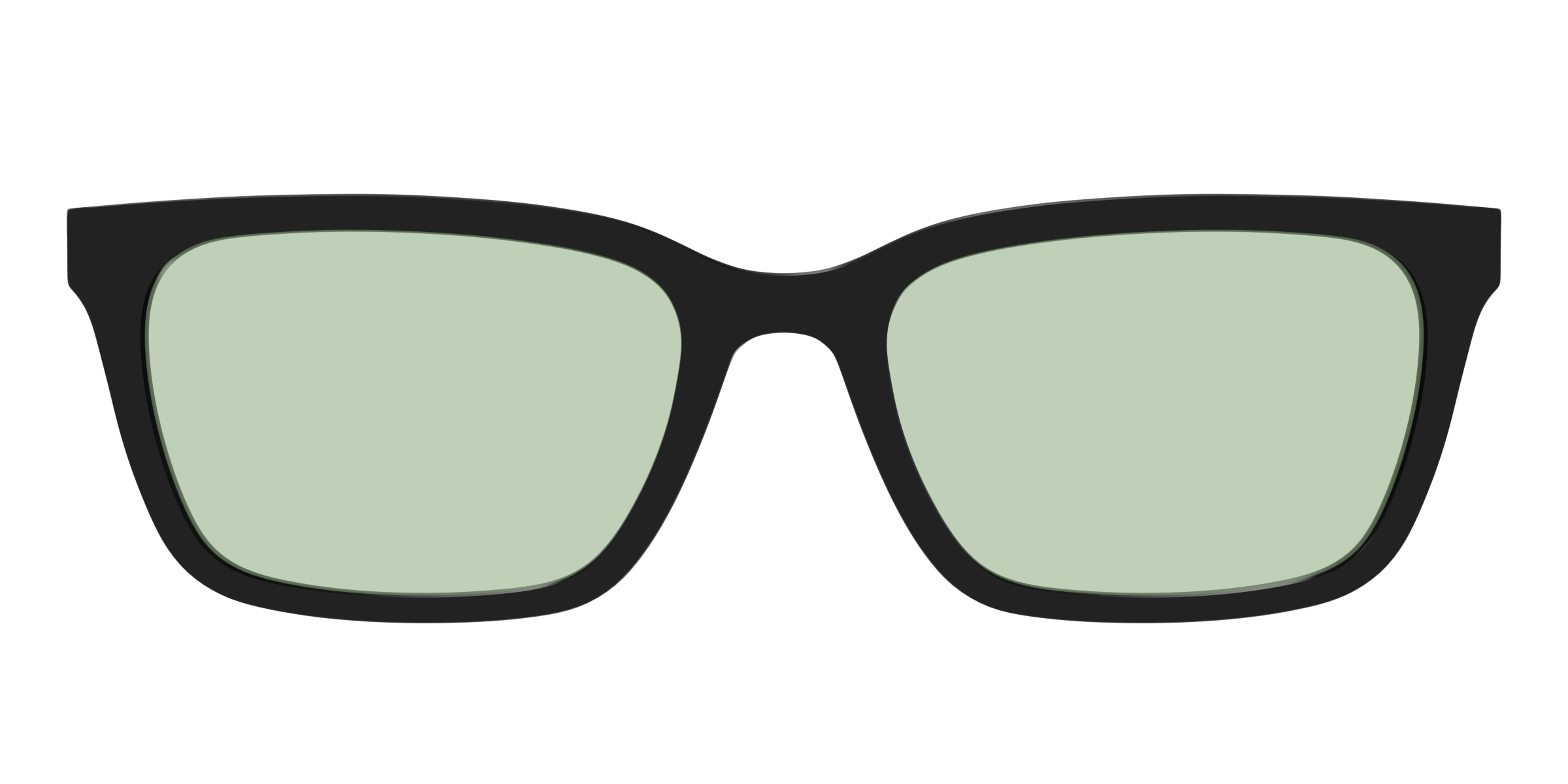 The Black With Sage Green Lens - Image 9