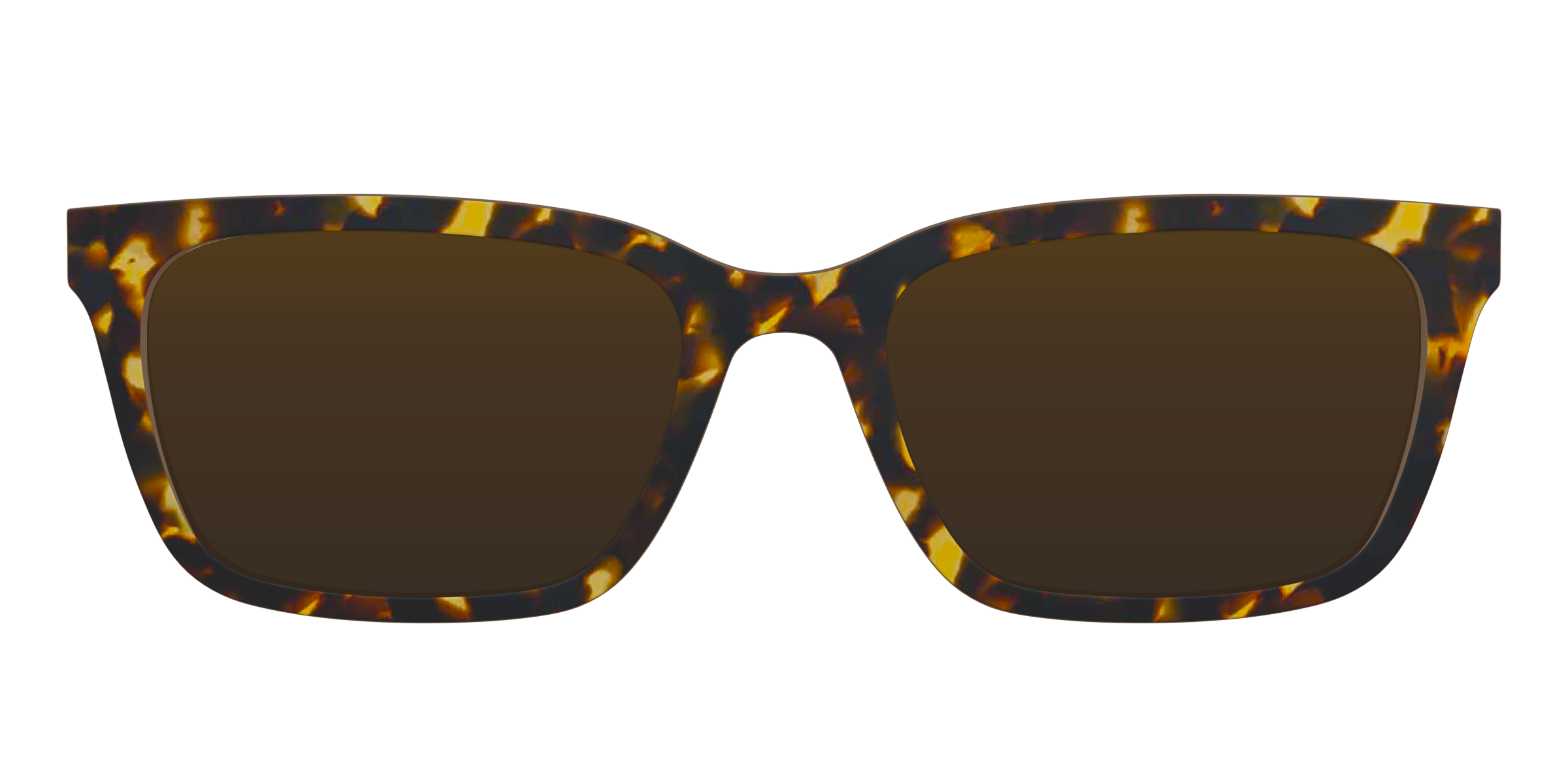 The Polarized Tortoise Sun Top - Image 5