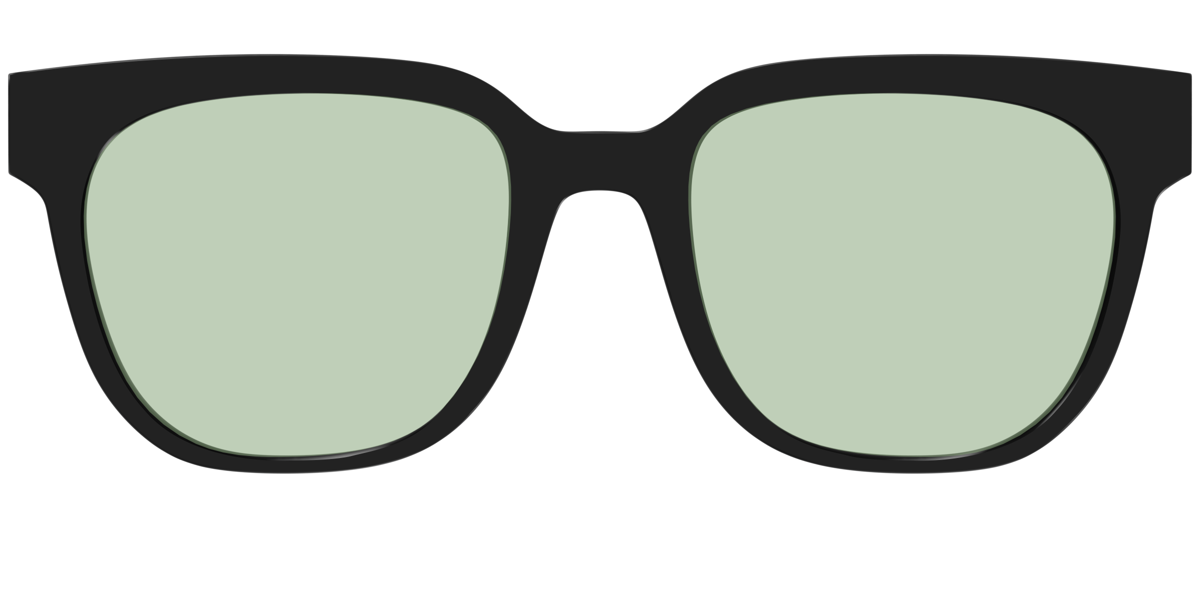 The Black With Sage Green Lens - Image 31