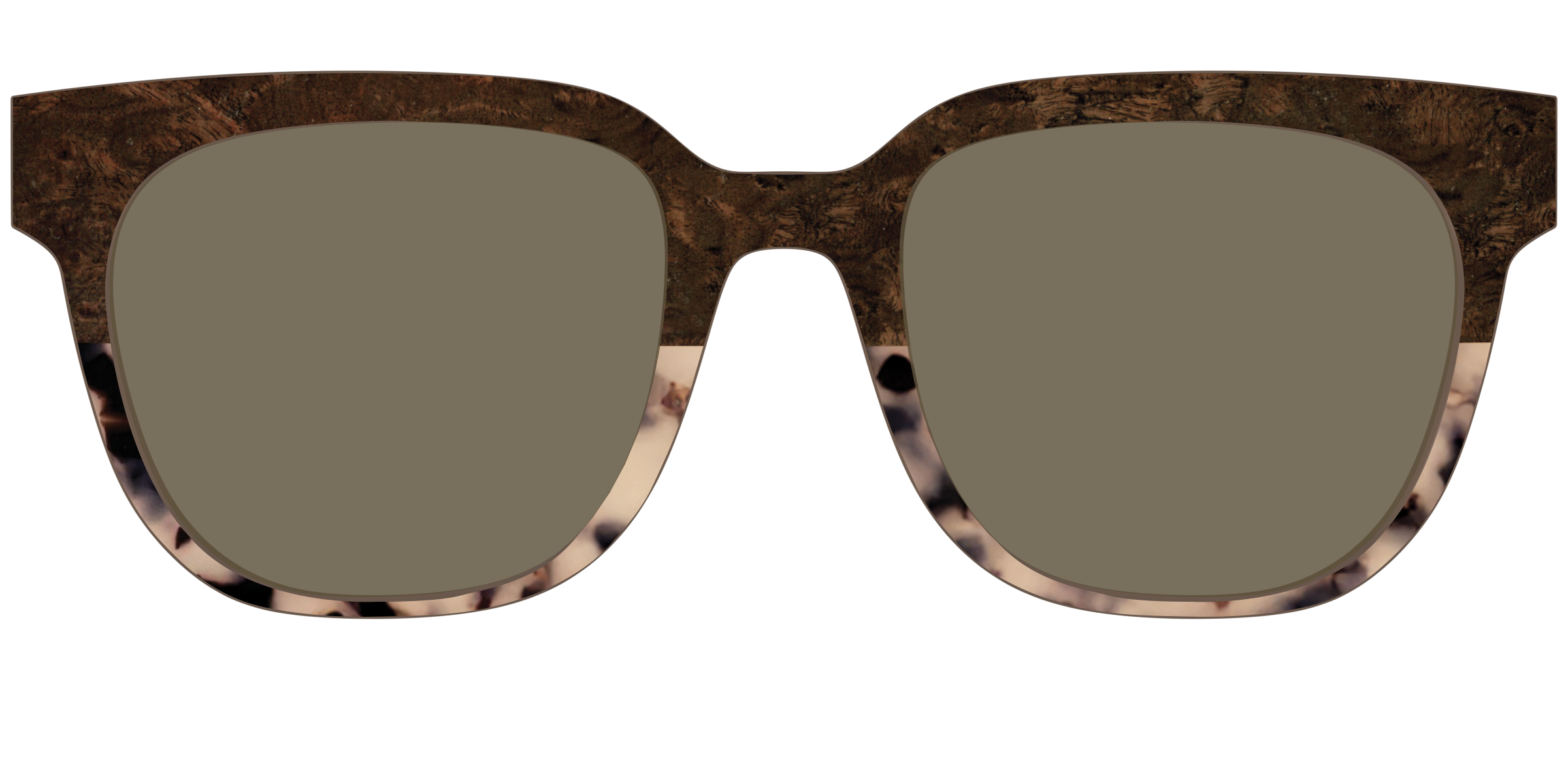 The Polarized Dark Oak Tortoise Split Sun Top - Image 31