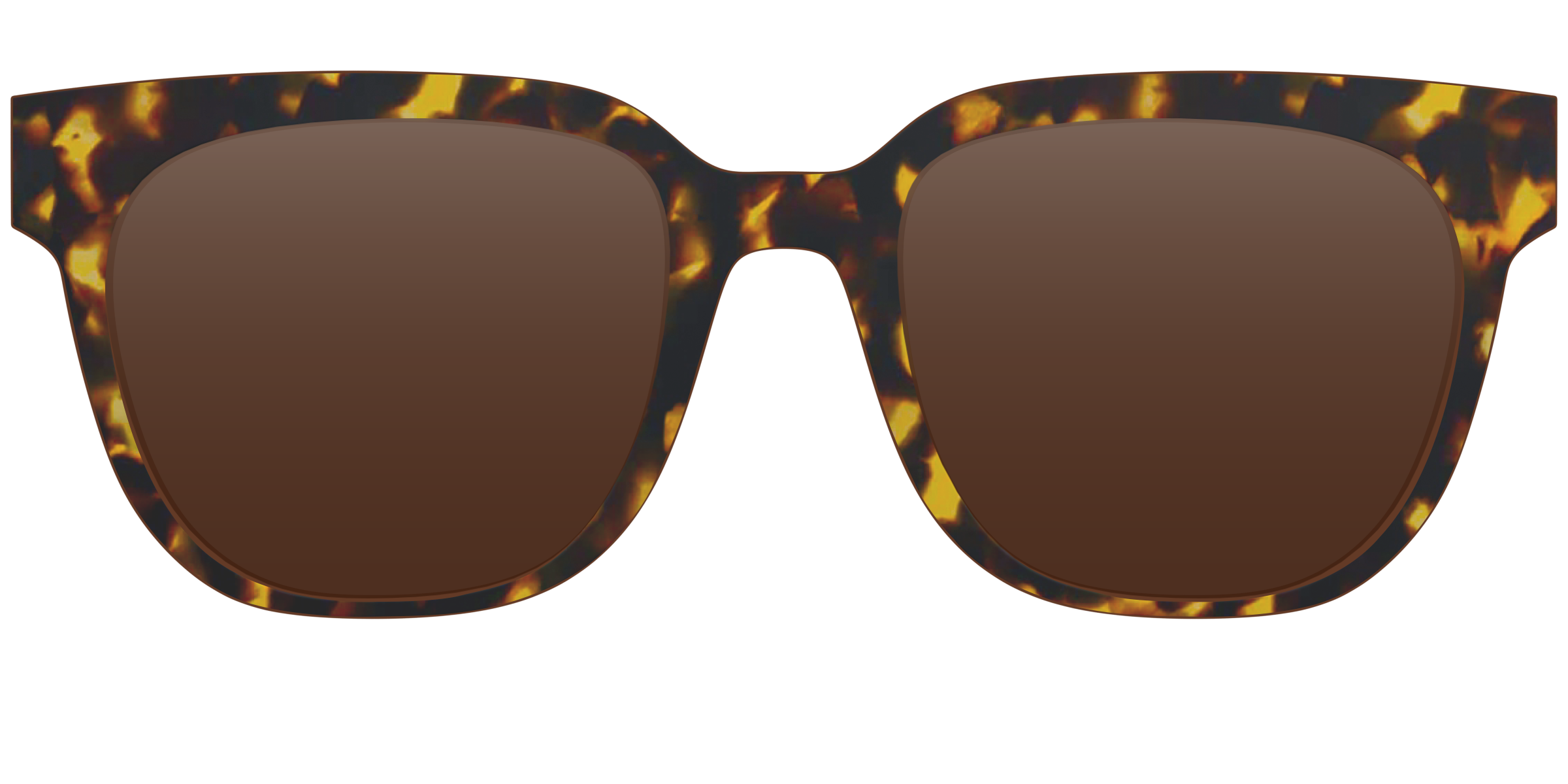 The Polarized Tortoise Sun Top - Image 16