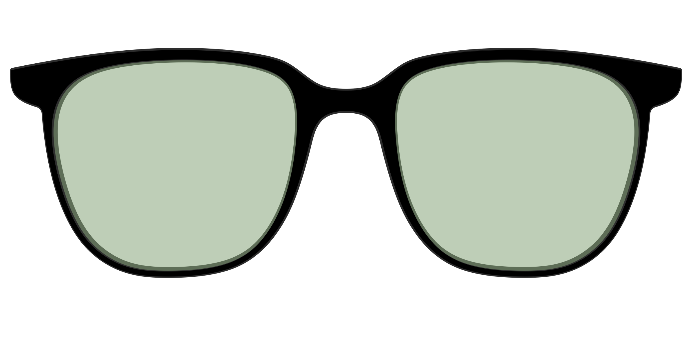 The Black With Sage Green Lens - Image 47
