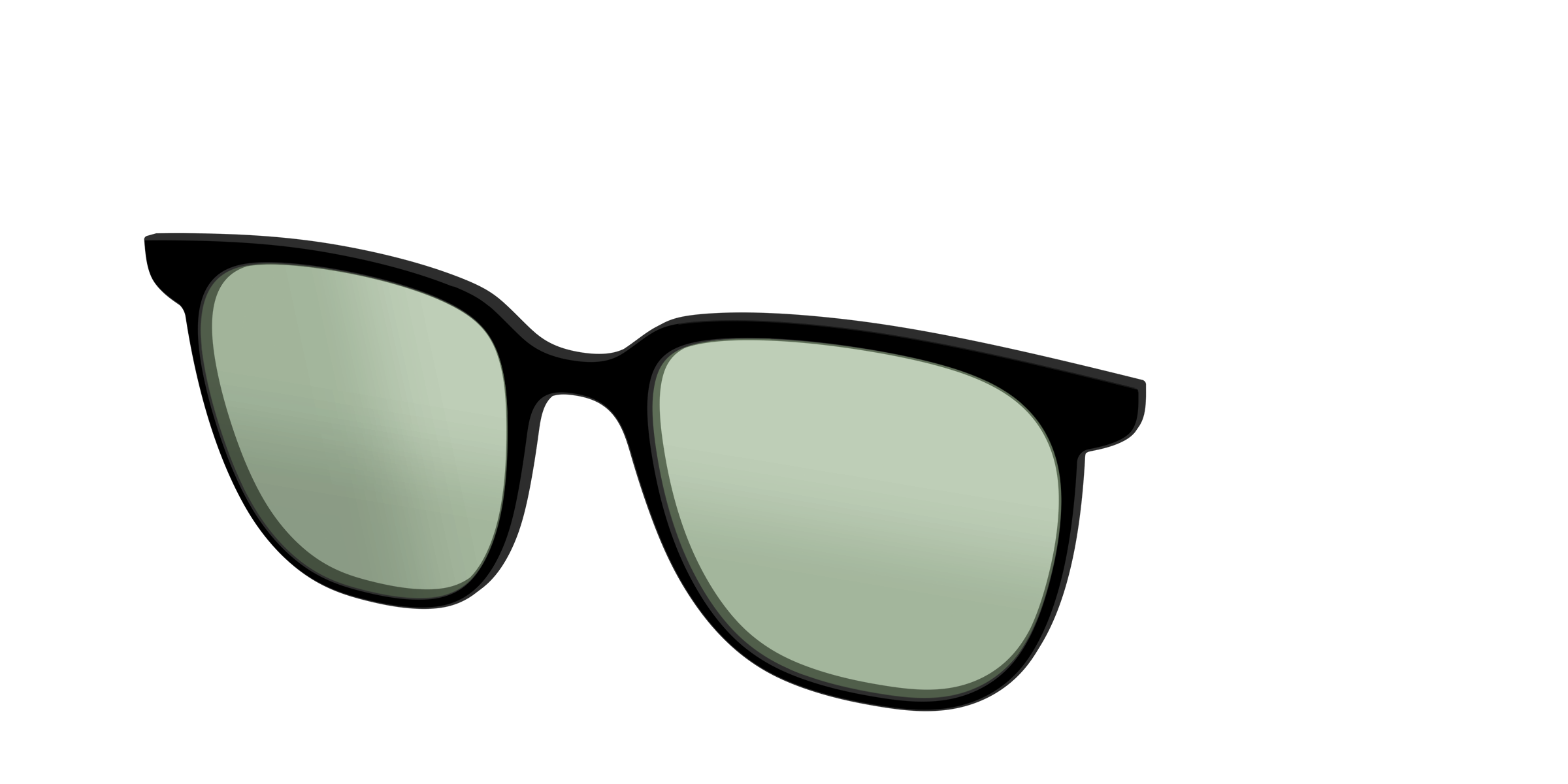 The Black With Sage Green Lens - Image 48