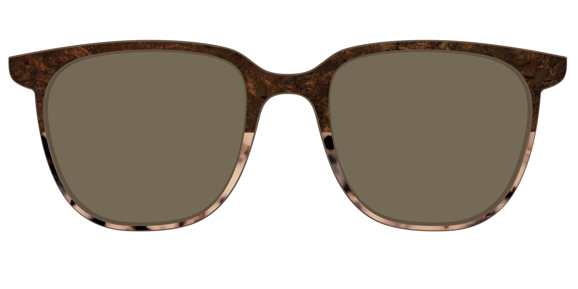 The Polarized Dark Oak Tortoise Split Sun Top - Image 47