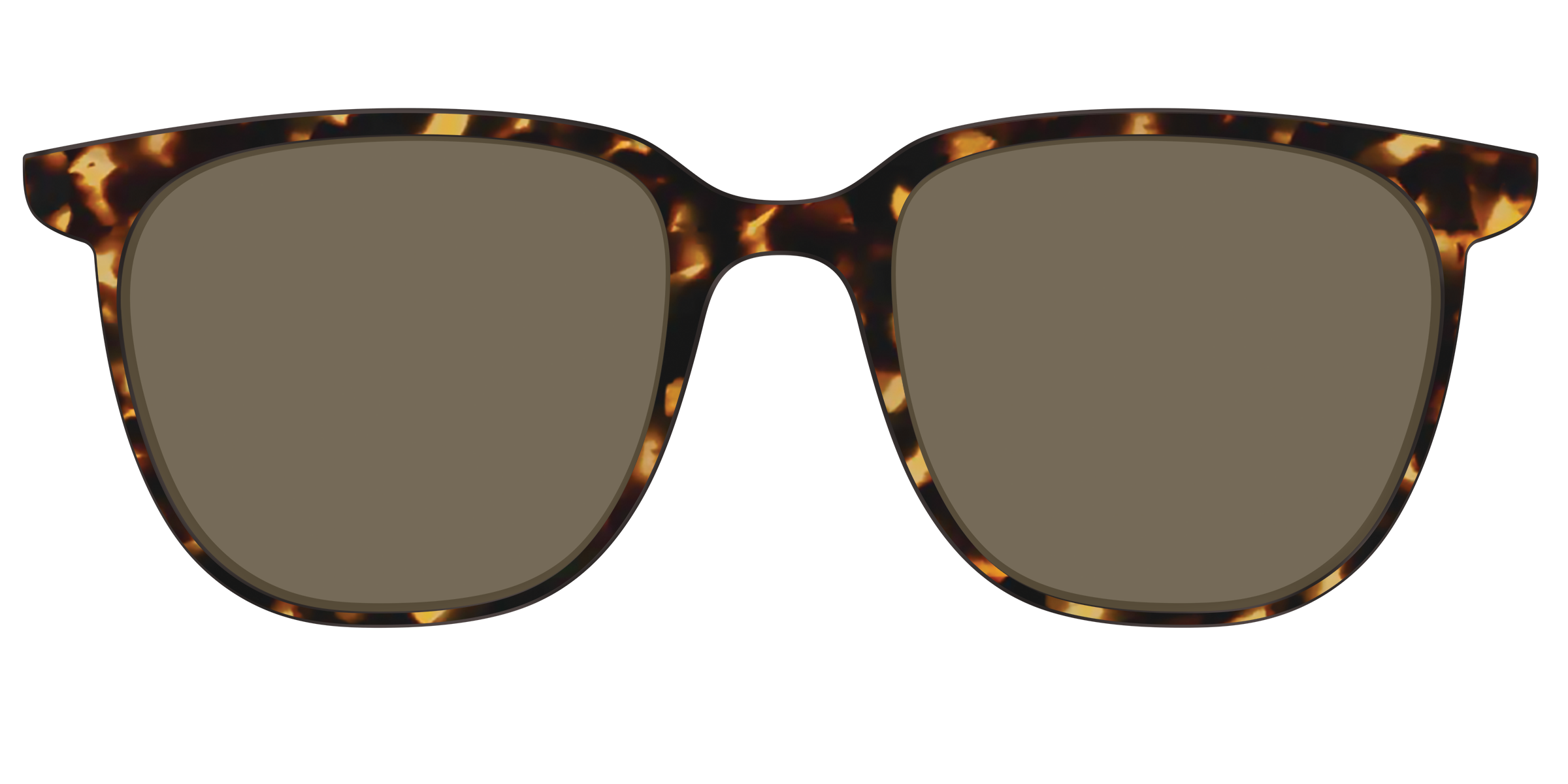 The Polarized Tortoise Sun Top - Image 29