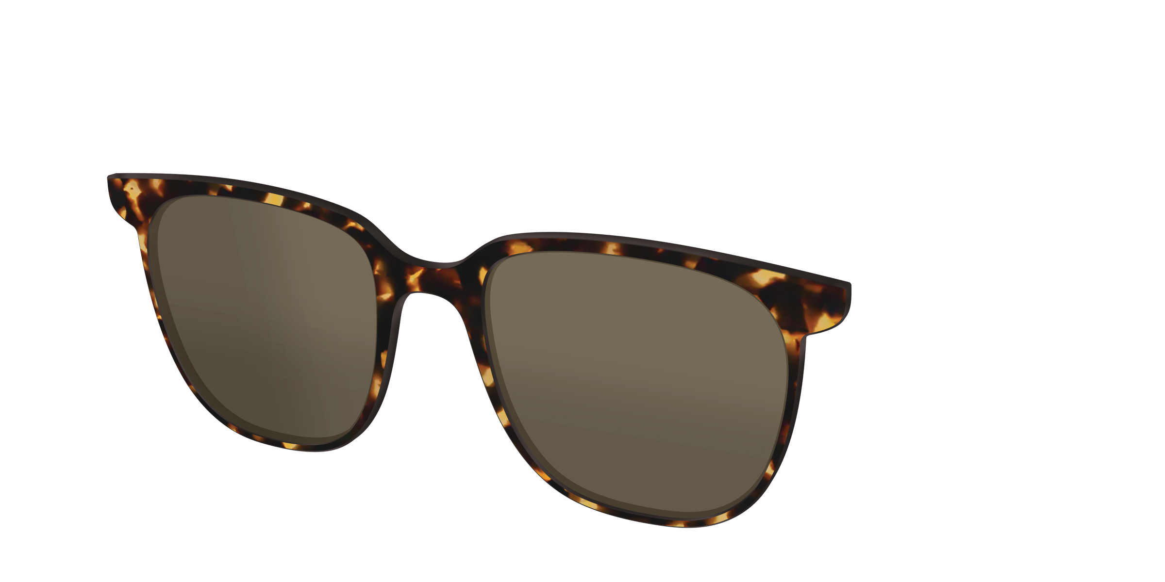 The Polarized Tortoise Sun Top - Image 30
