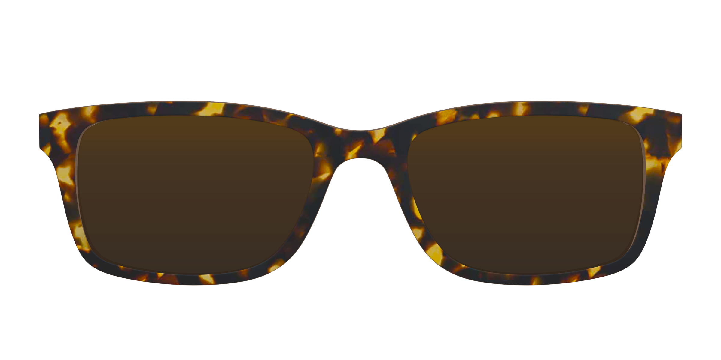 The Polarized Tortoise Sun Top - Image 3