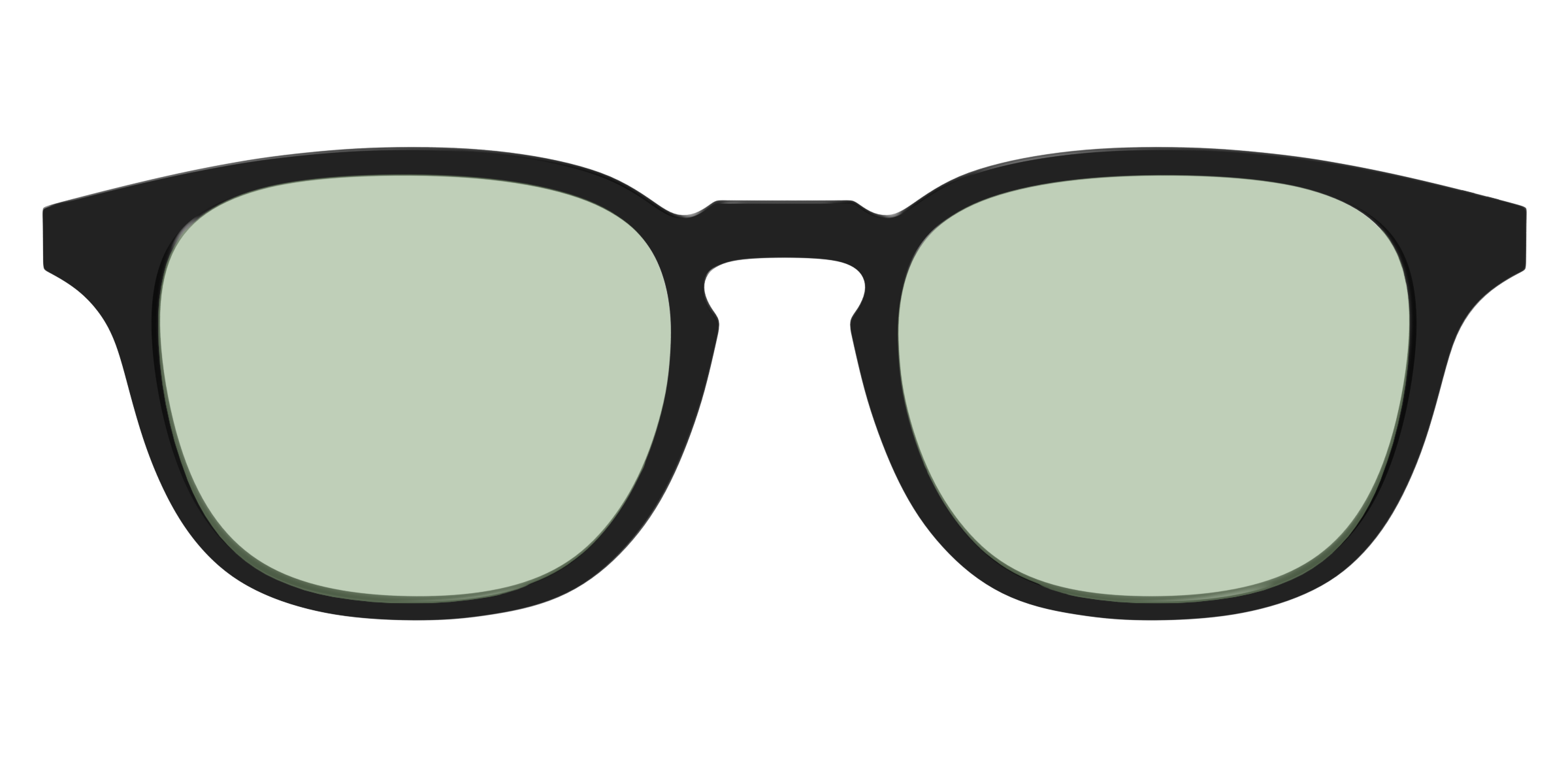 The Black With Sage Green Lens - Image 17