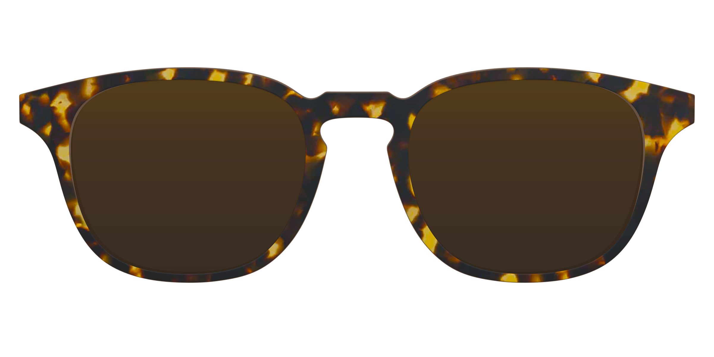 The Polarized Tortoise Sun Top - Image 9