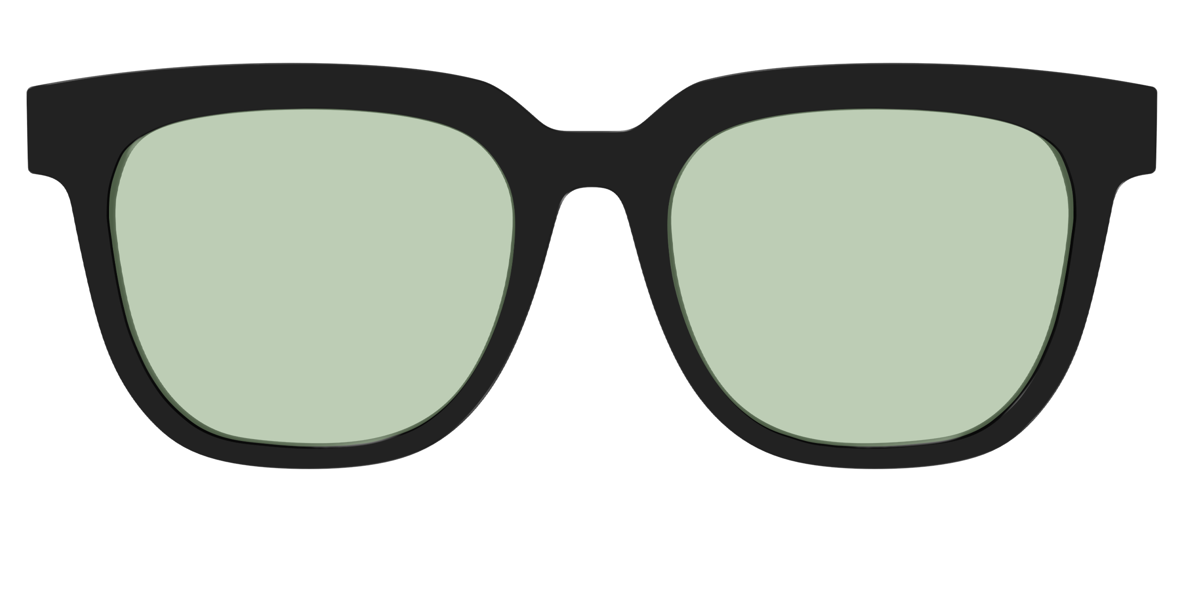 The Black With Sage Green Lens - Image 37
