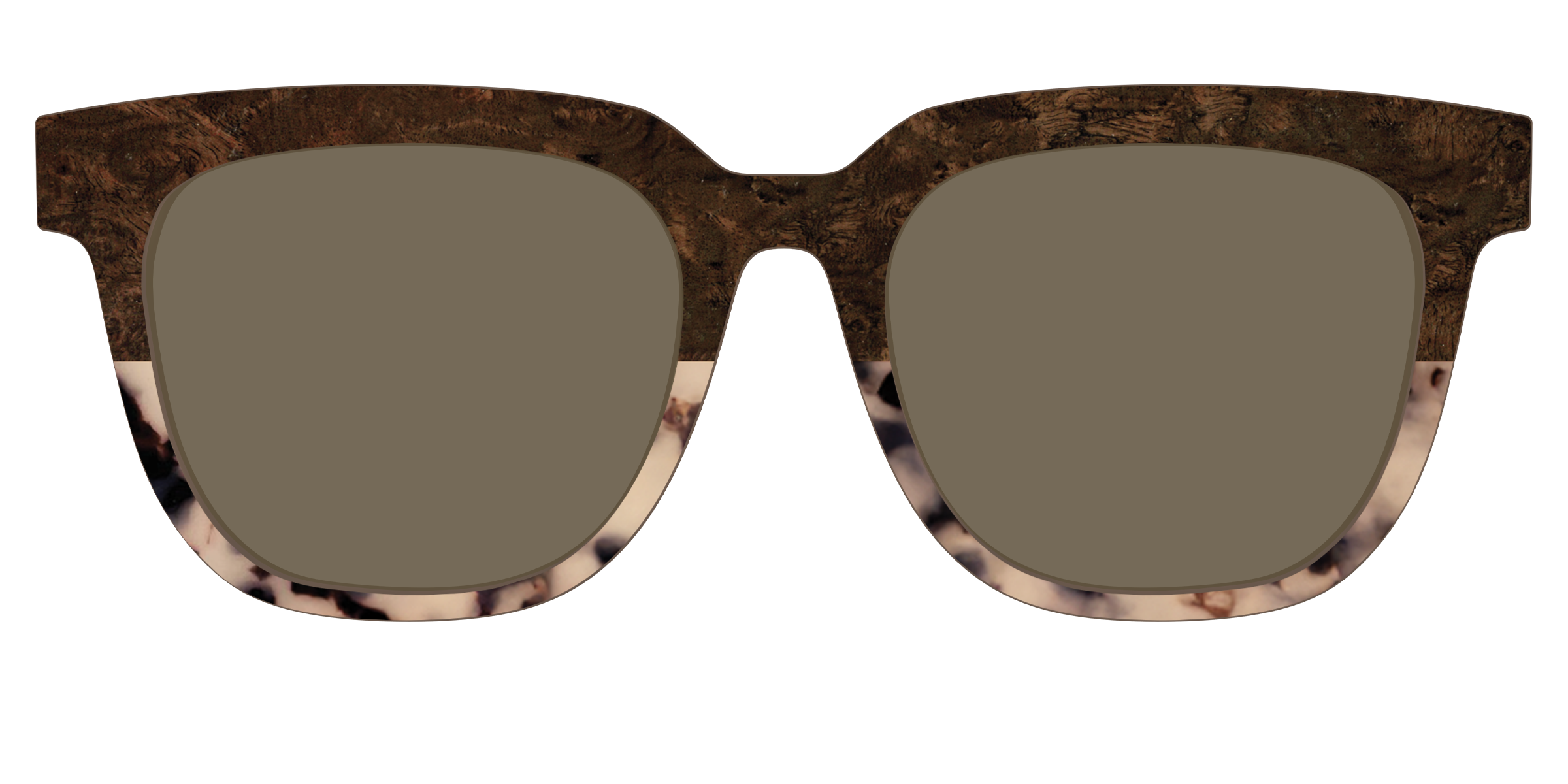 The Polarized Dark Oak Tortoise Split Sun Top - Image 37