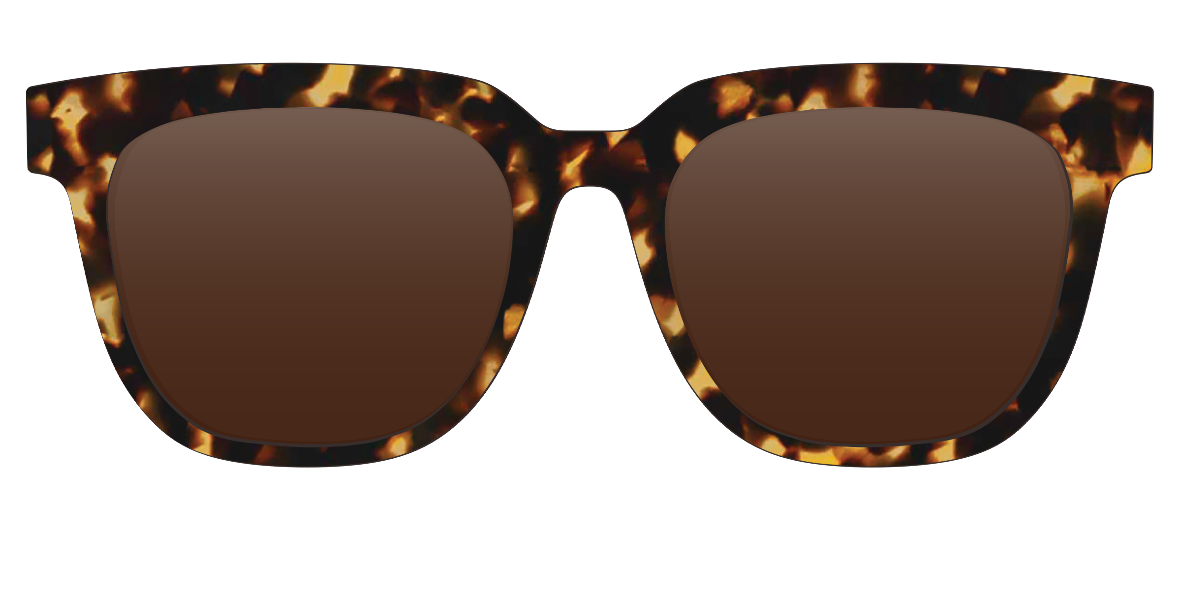 The Polarized Tortoise Sun Top - Image 19