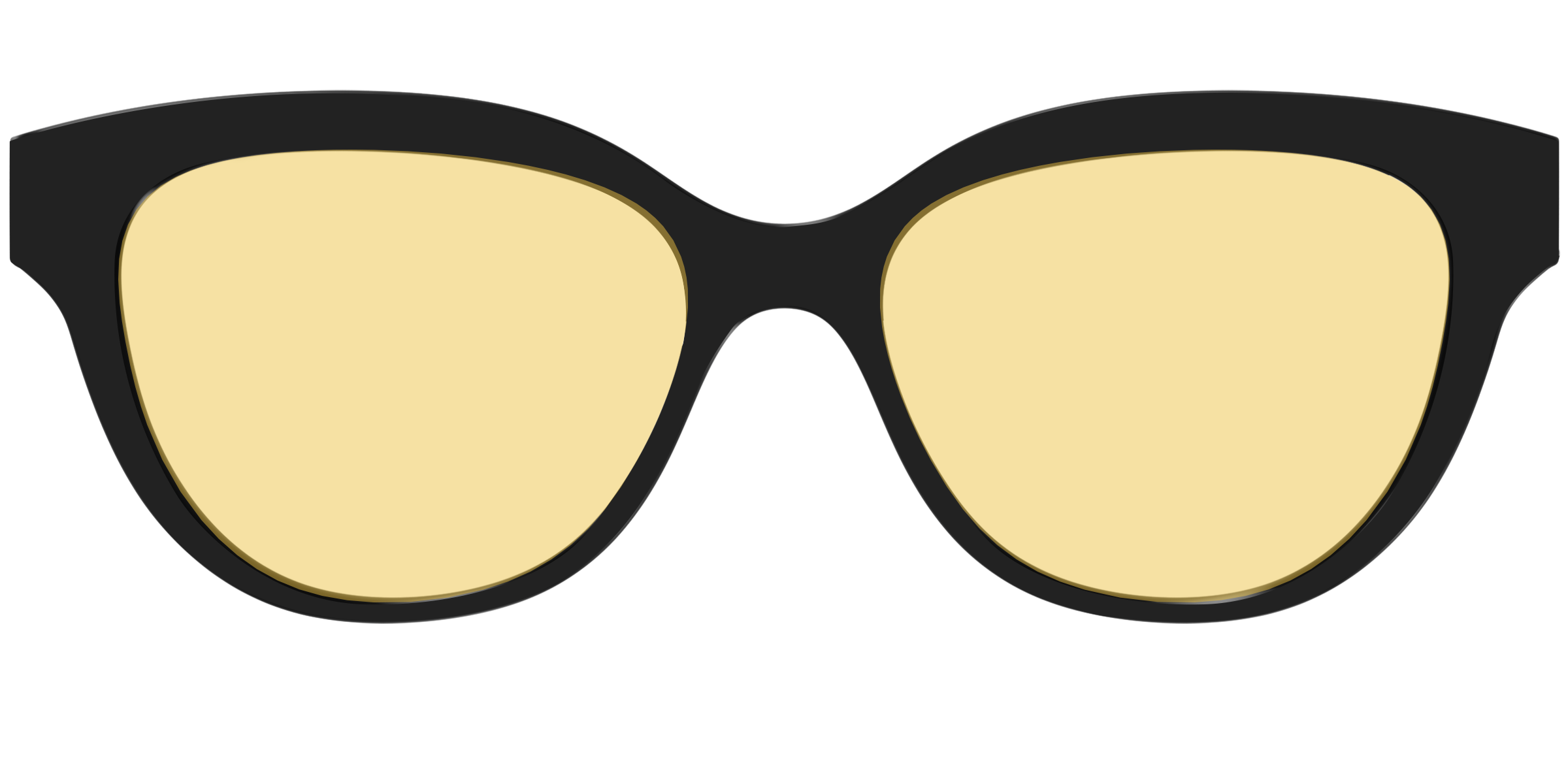 The Black With Citrine Yellow Lens - Image 33