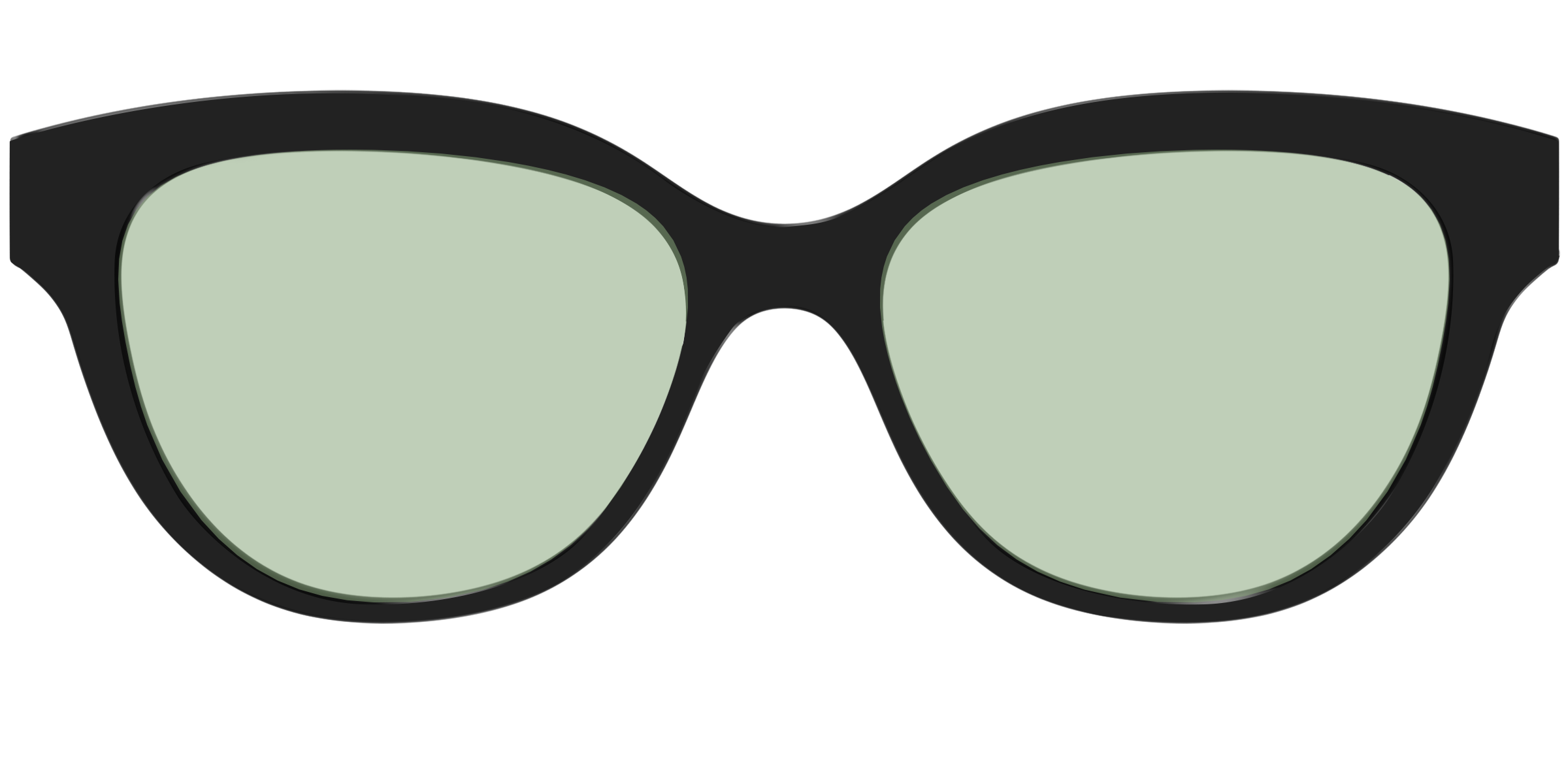 The Black With Sage Green Lens - Image 33
