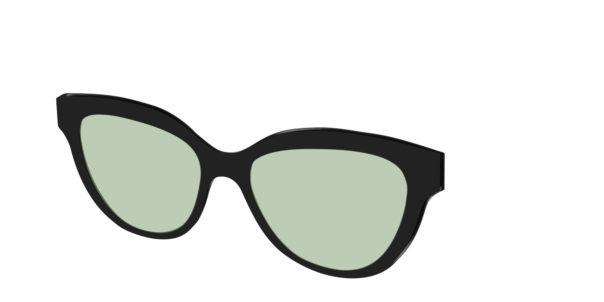 The Black With Sage Green Lens - Image 34