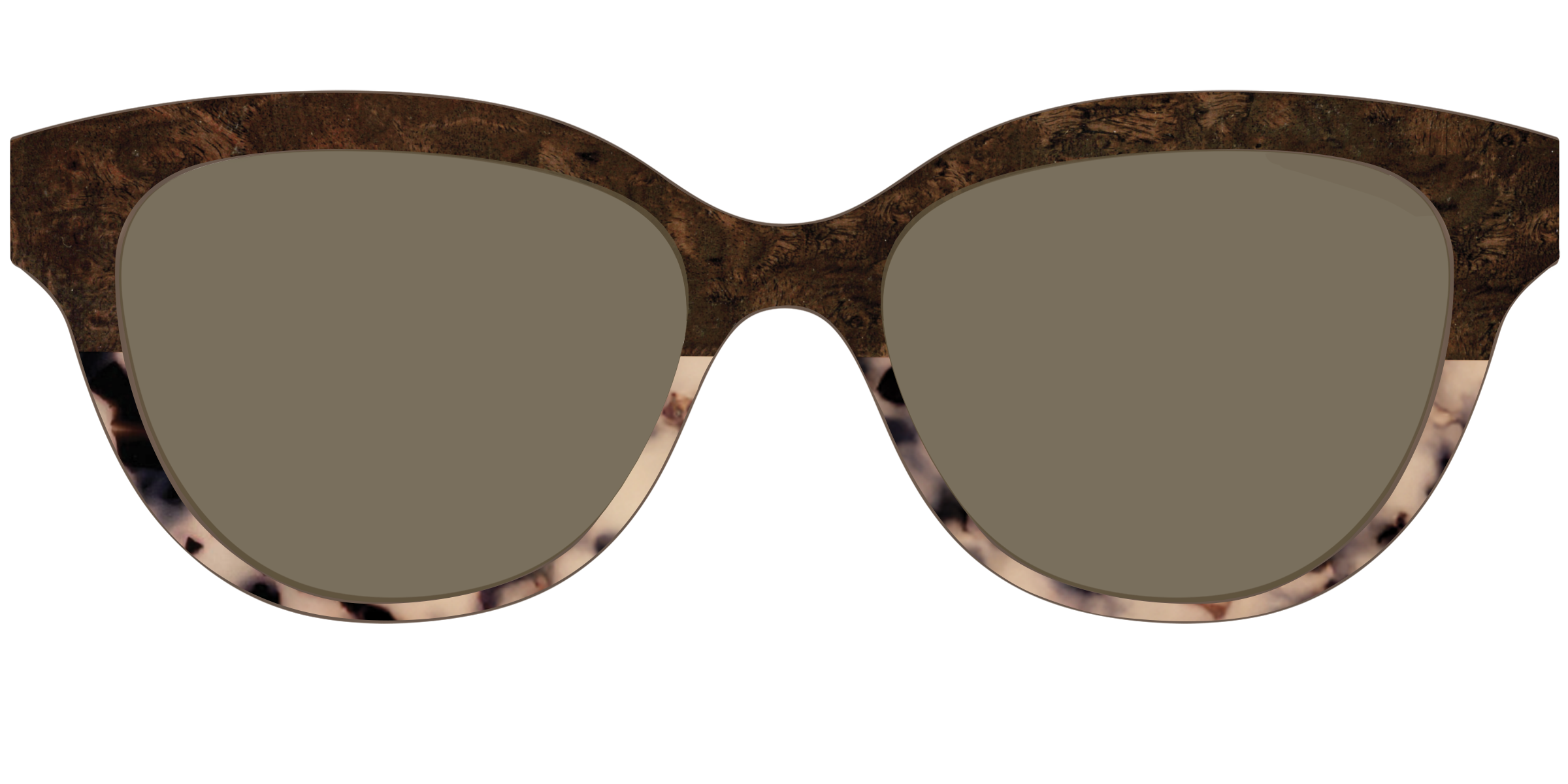 The Polarized Dark Oak Tortoise Split Sun Top - Image 33