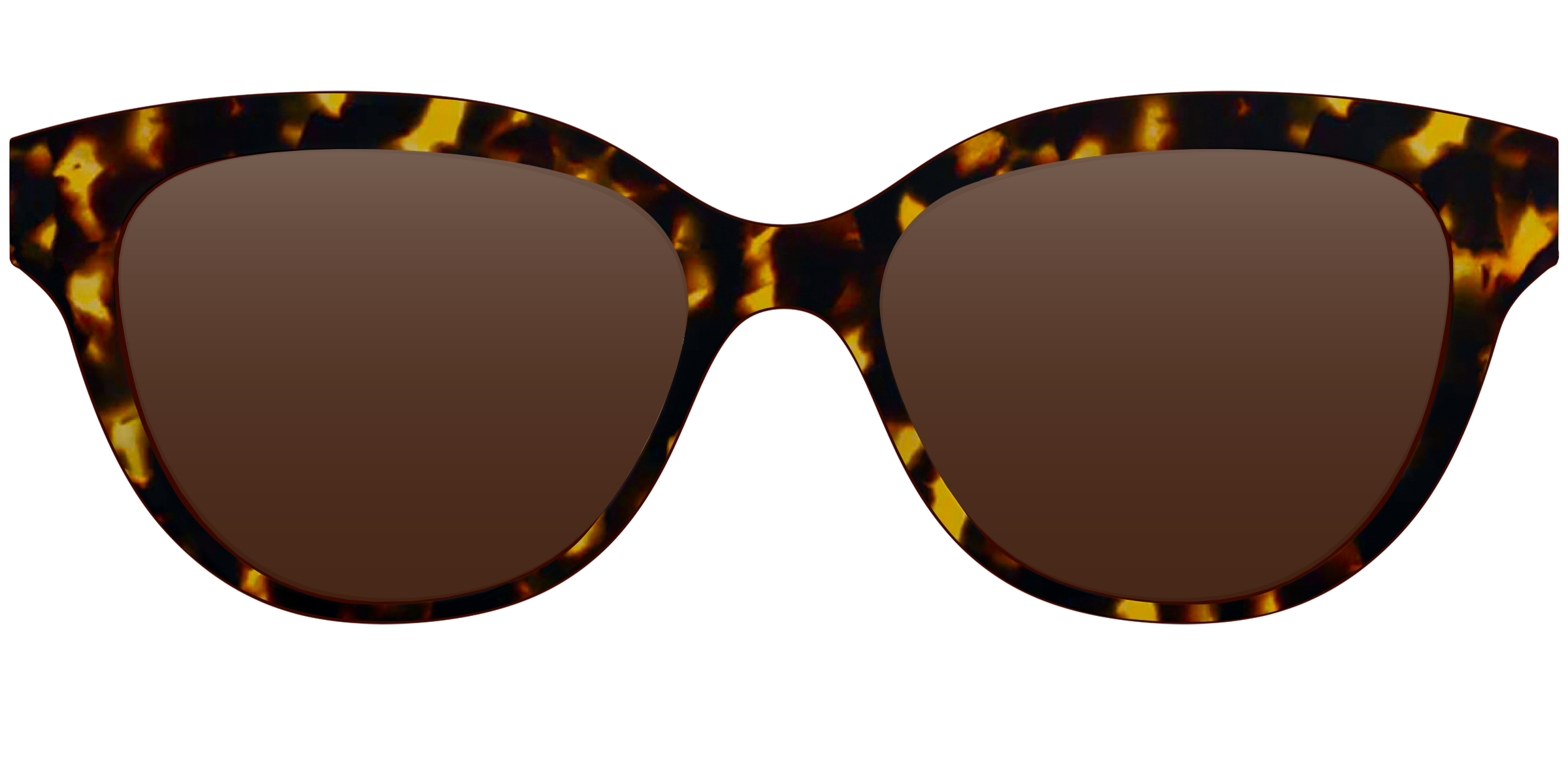 The Polarized Tortoise Sun Top - Image 17