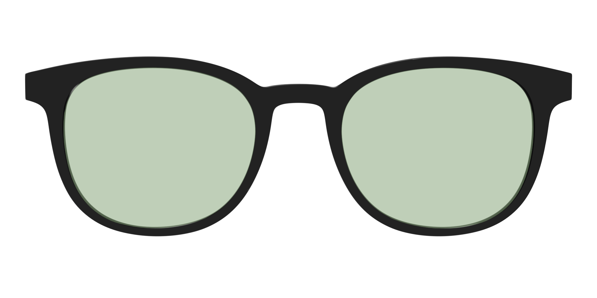 The Black With Sage Green Lens - Image 15