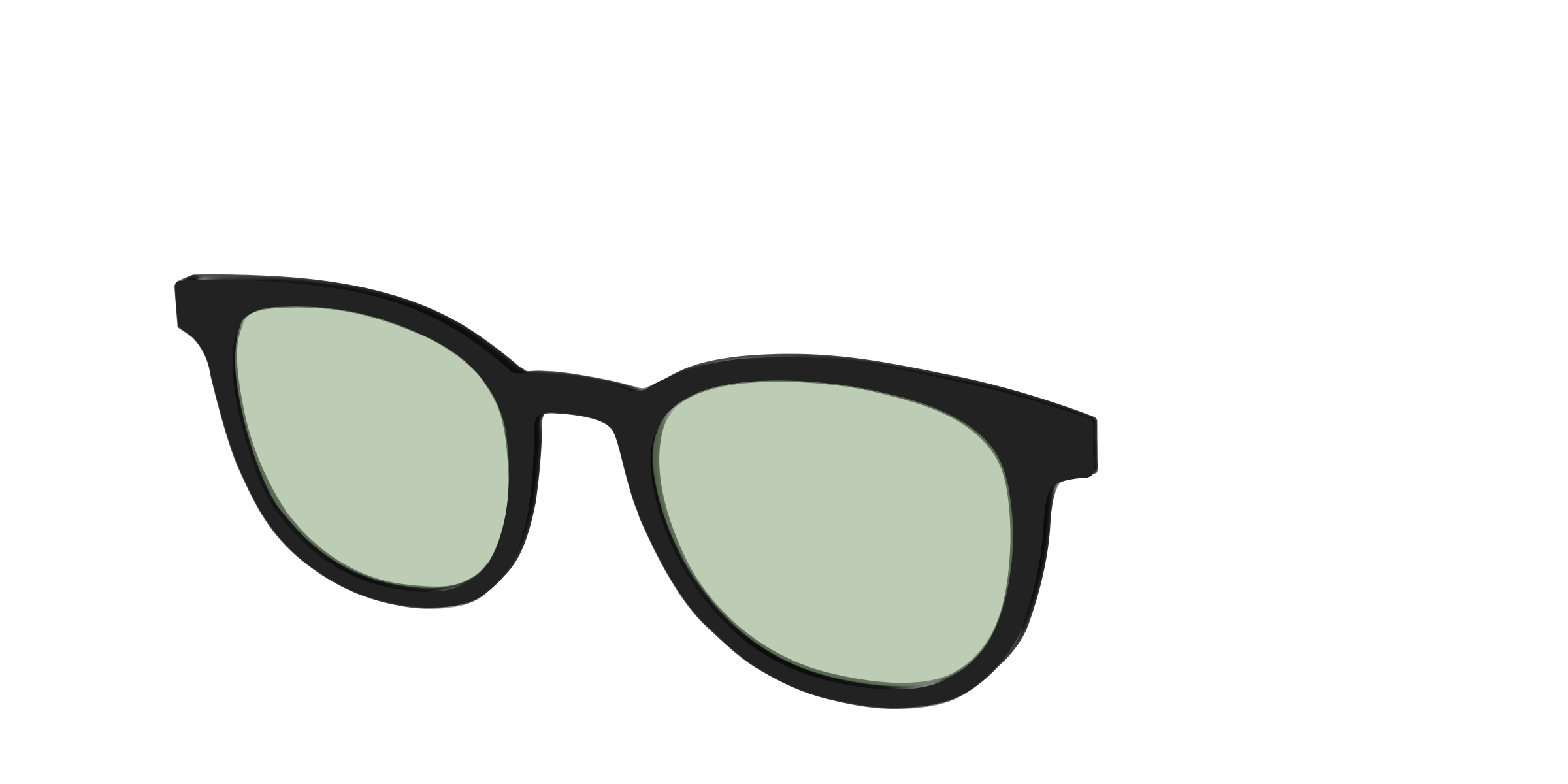 The Black With Sage Green Lens - Image 16