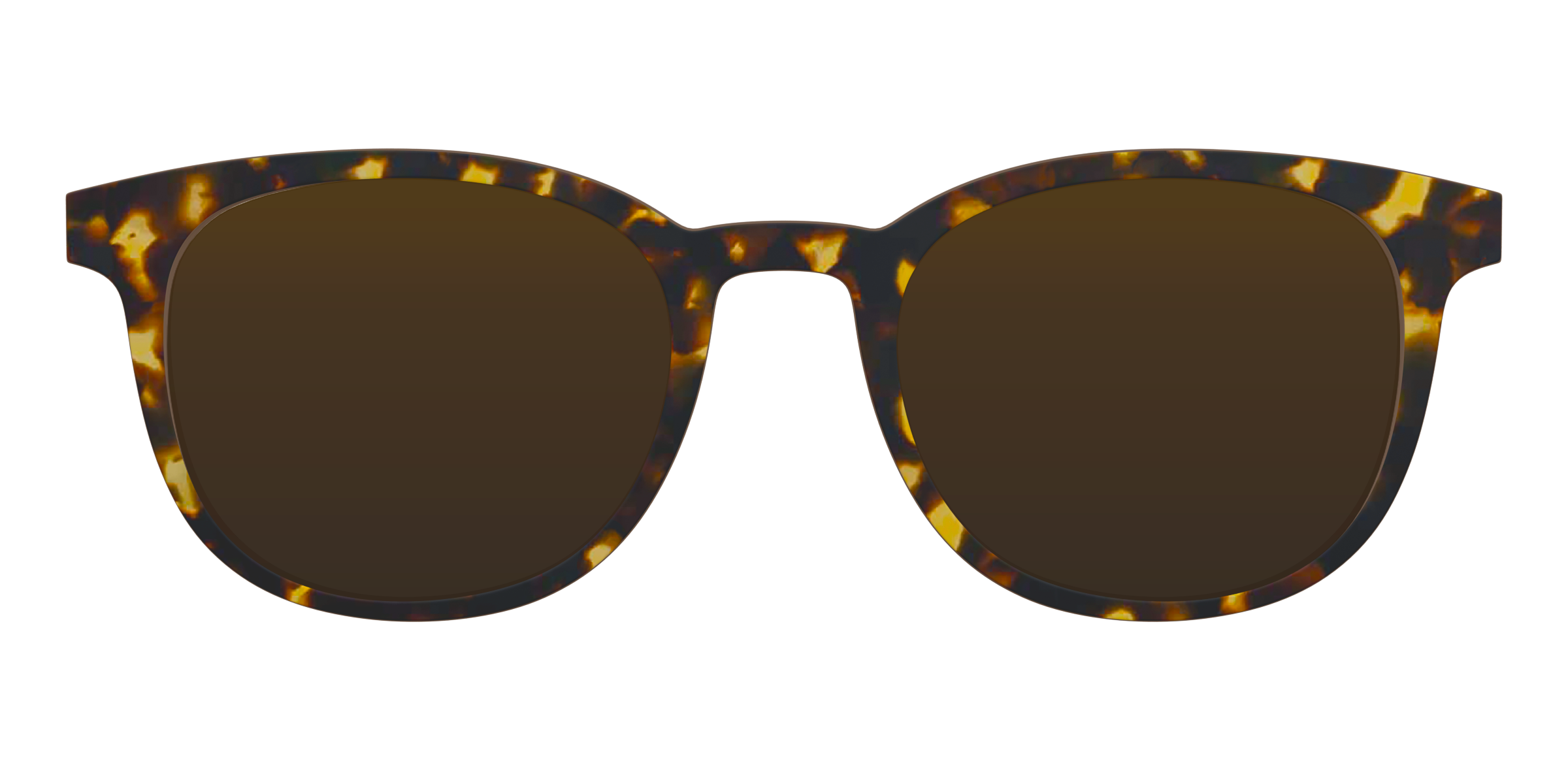 The Polarized Tortoise Sun Top - Image 8