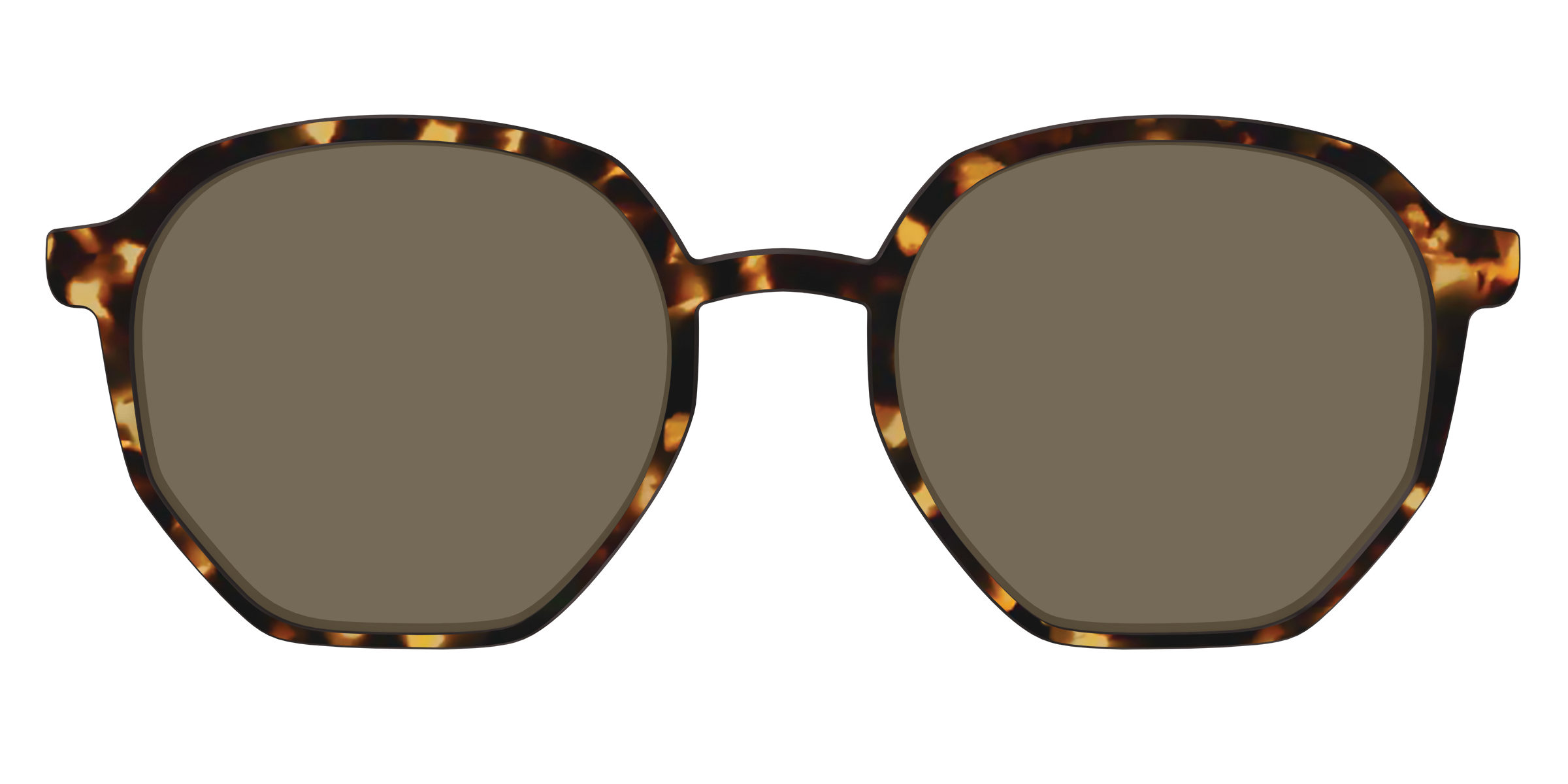 The Polarized Tortoise Sun Top - Image 41