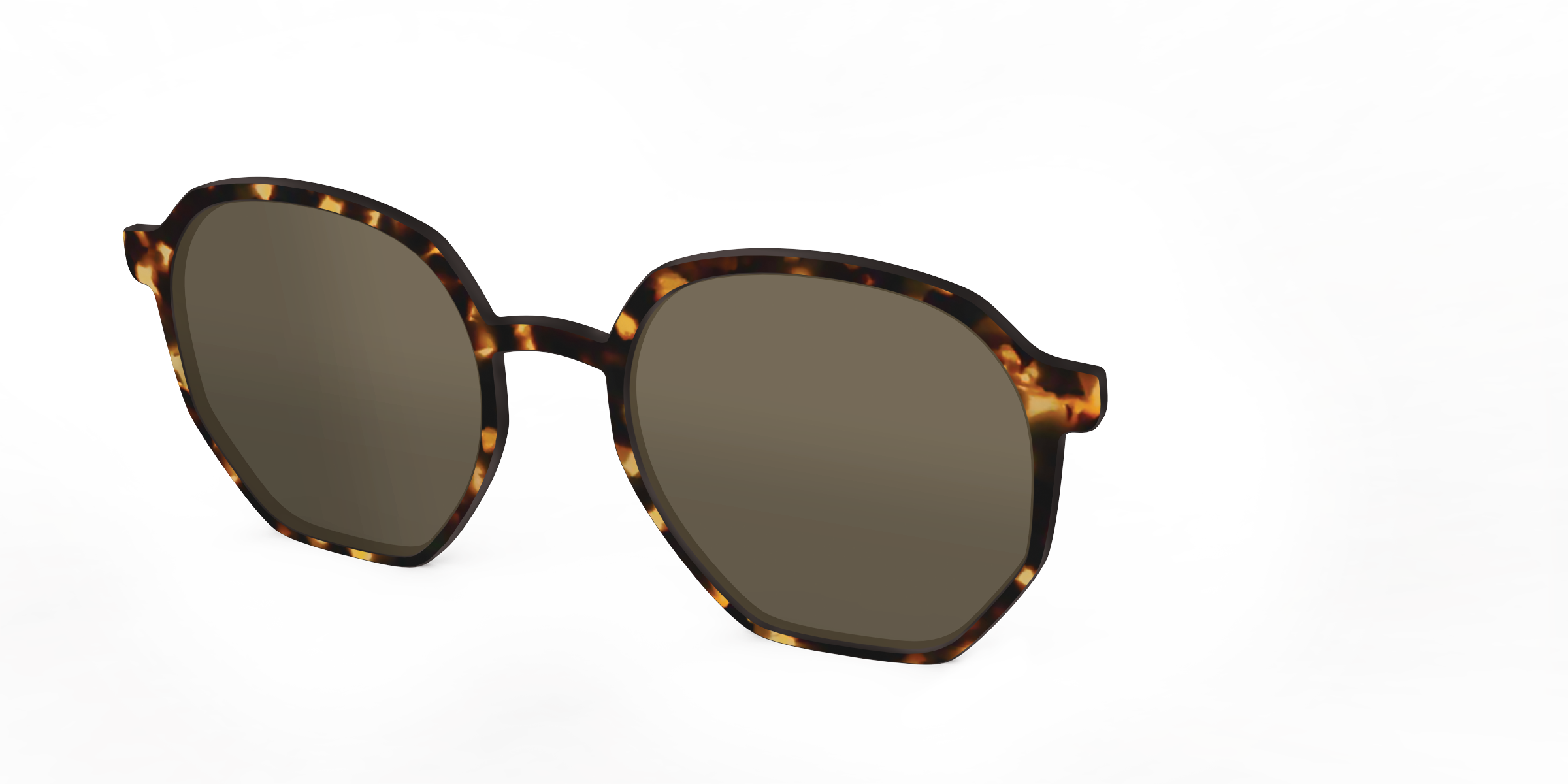 The Polarized Tortoise Sun Top - Image 42