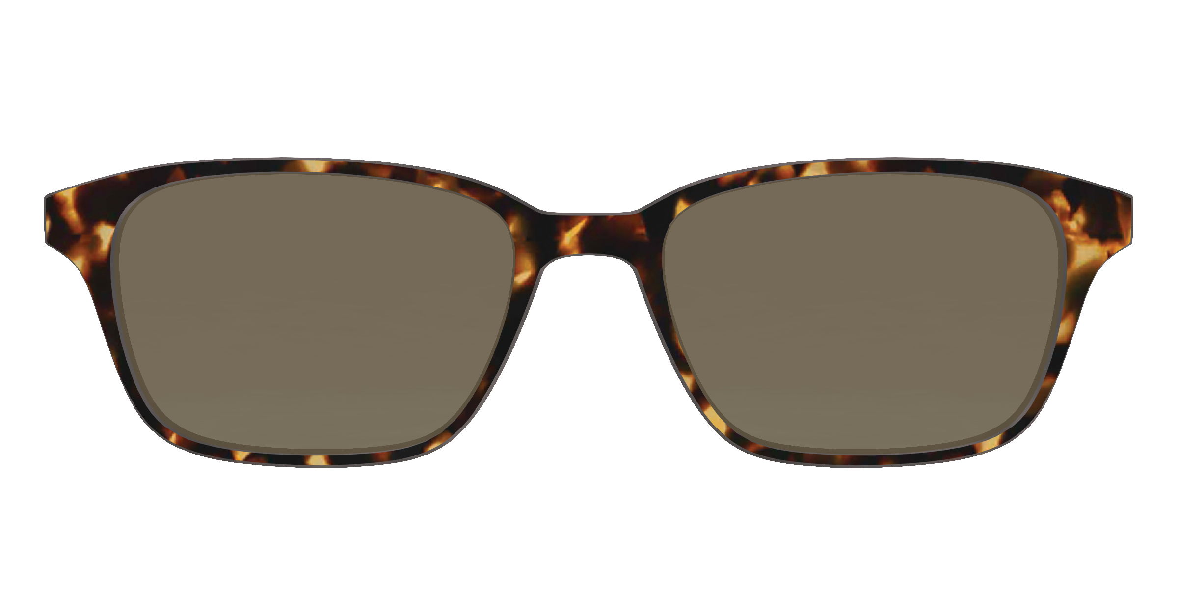 The Polarized Tortoise Sun Top - Image 37