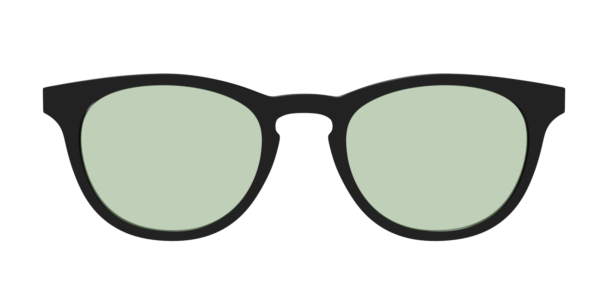 The Black With Sage Green Lens - Image 3