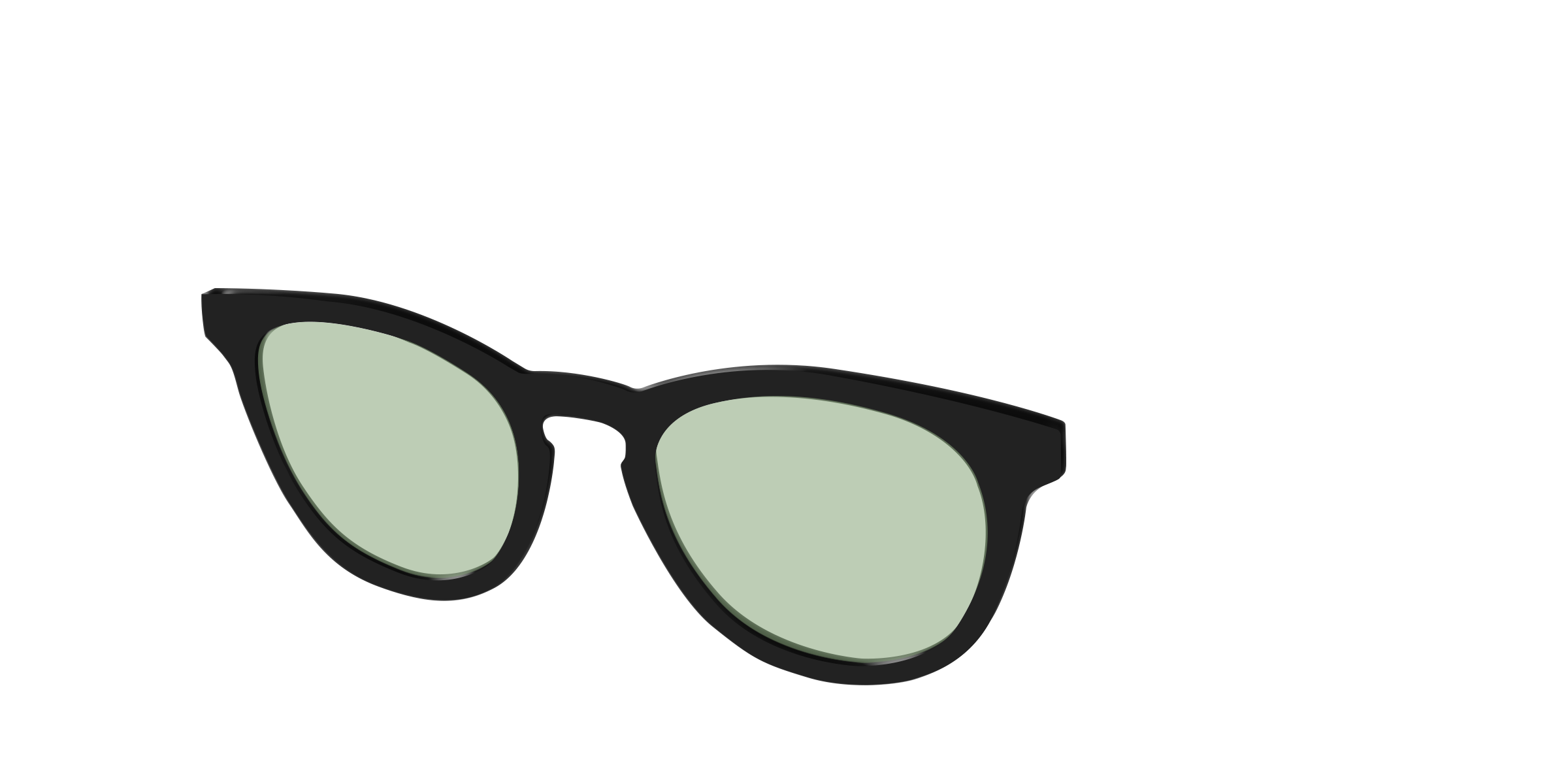 The Black With Sage Green Lens - Image 4
