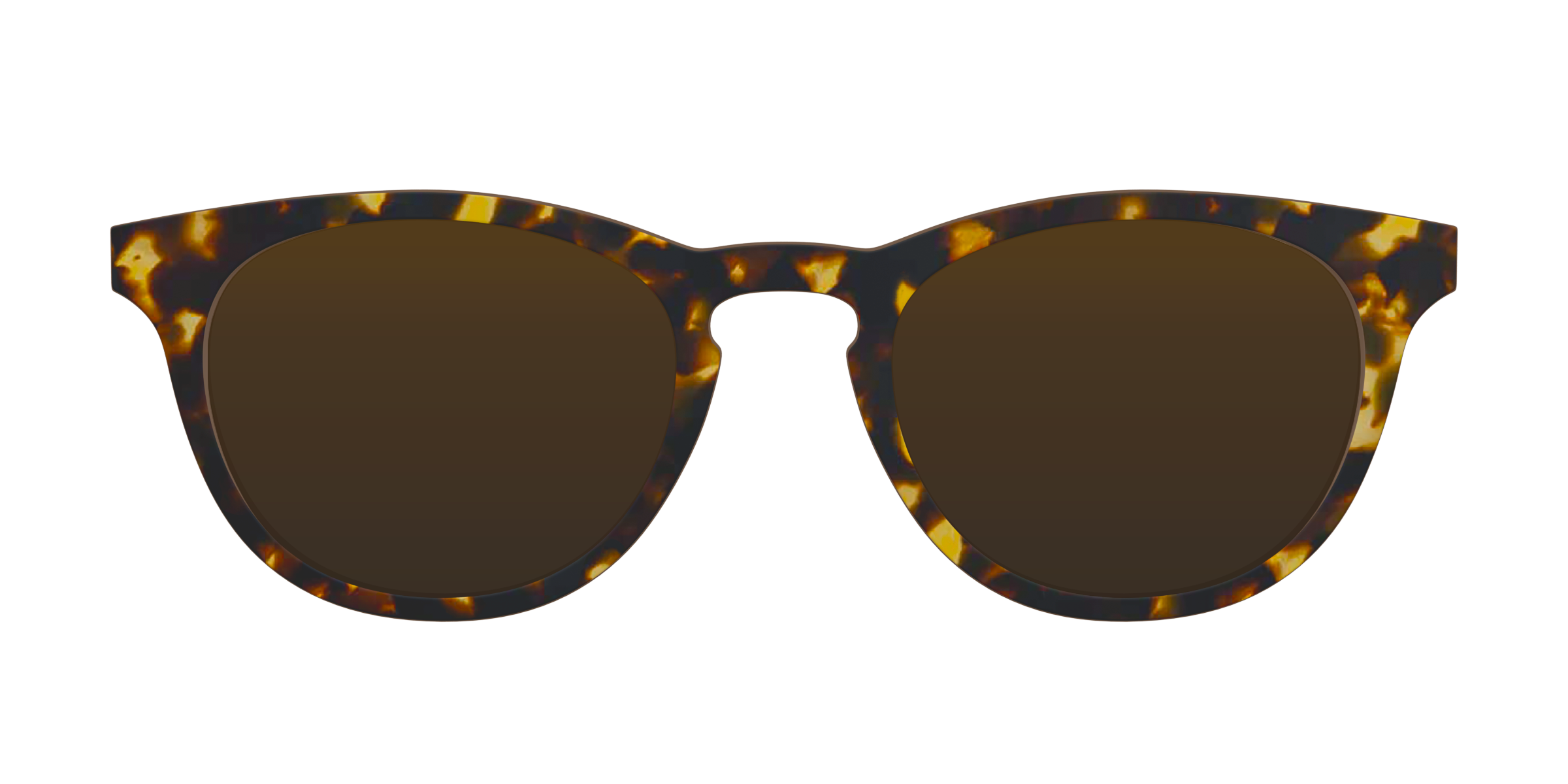 The Polarized Tortoise Sun Top - Image 2