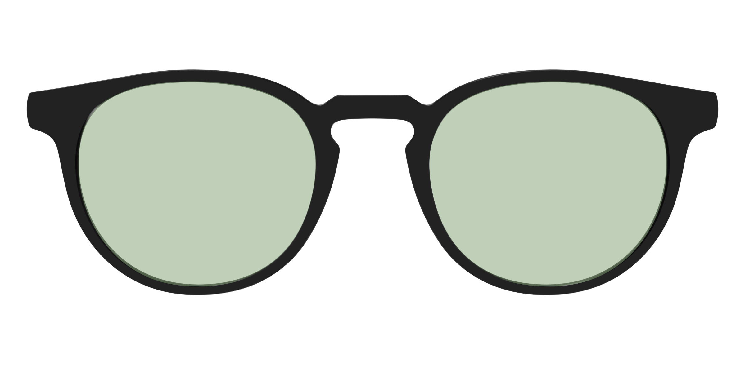 The Black With Sage Green Lens - Image 19
