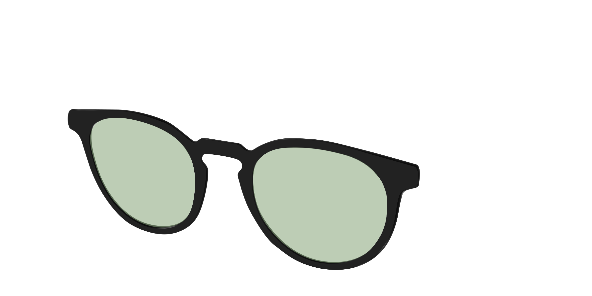 The Black With Sage Green Lens - Image 20