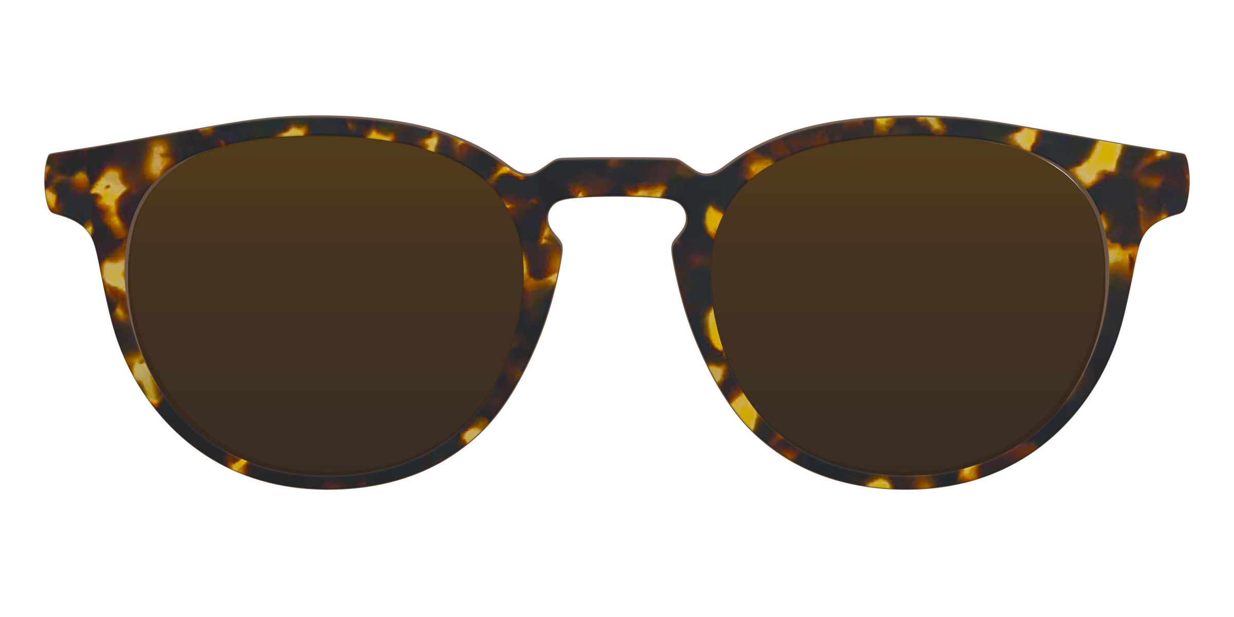 The Polarized Tortoise Sun Top - Image 10