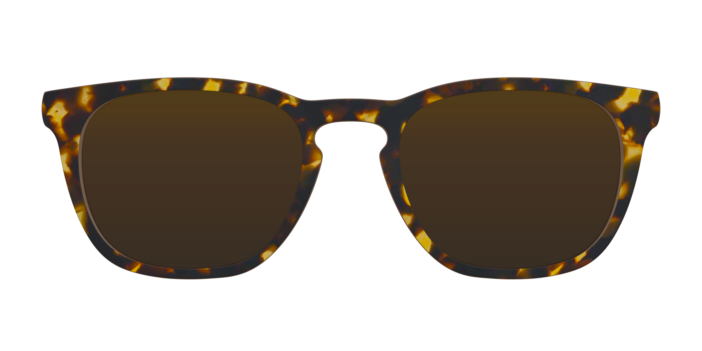 The Polarized Tortoise Sun Top - Image 4