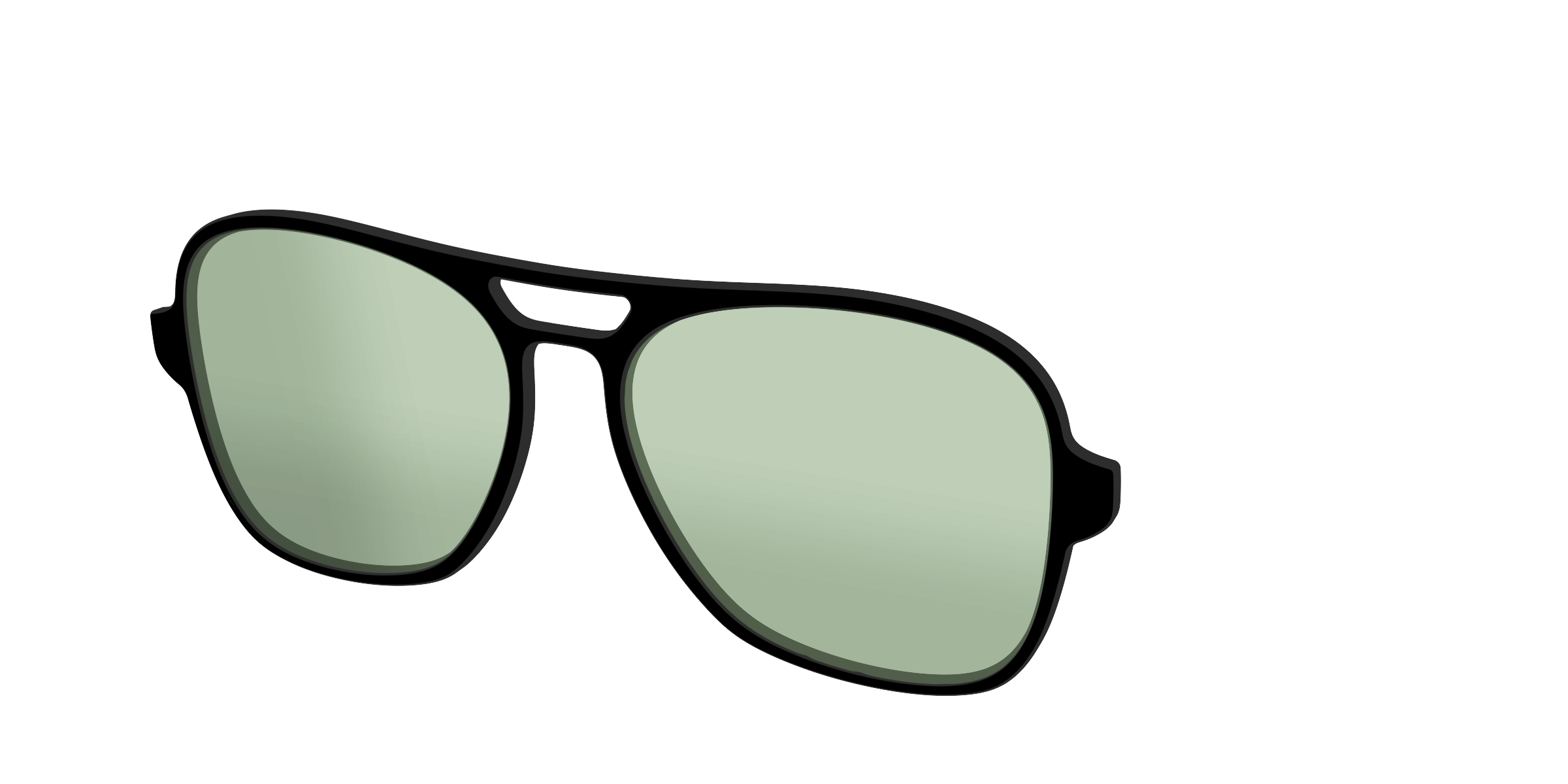 The Black With Sage Green Lens - Image 52