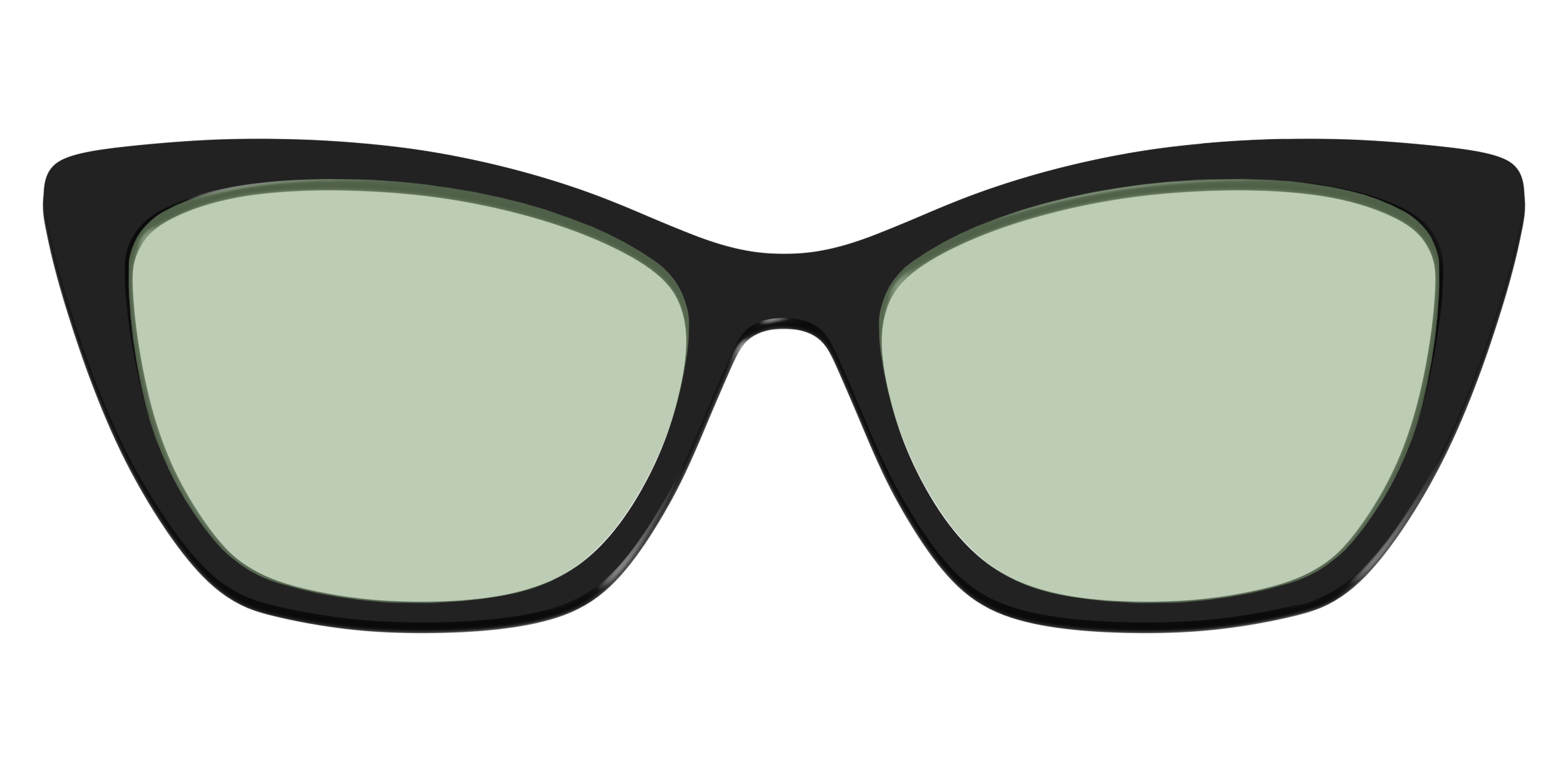The Black With Sage Green Lens - Image 25