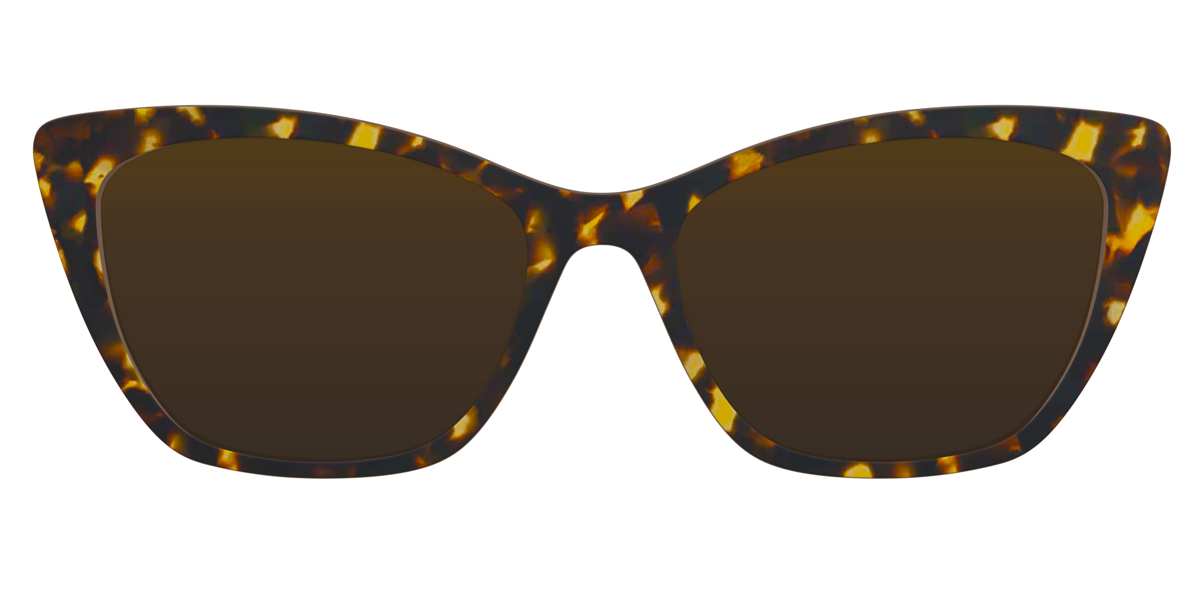 The Polarized Tortoise Sun Top - Image 13