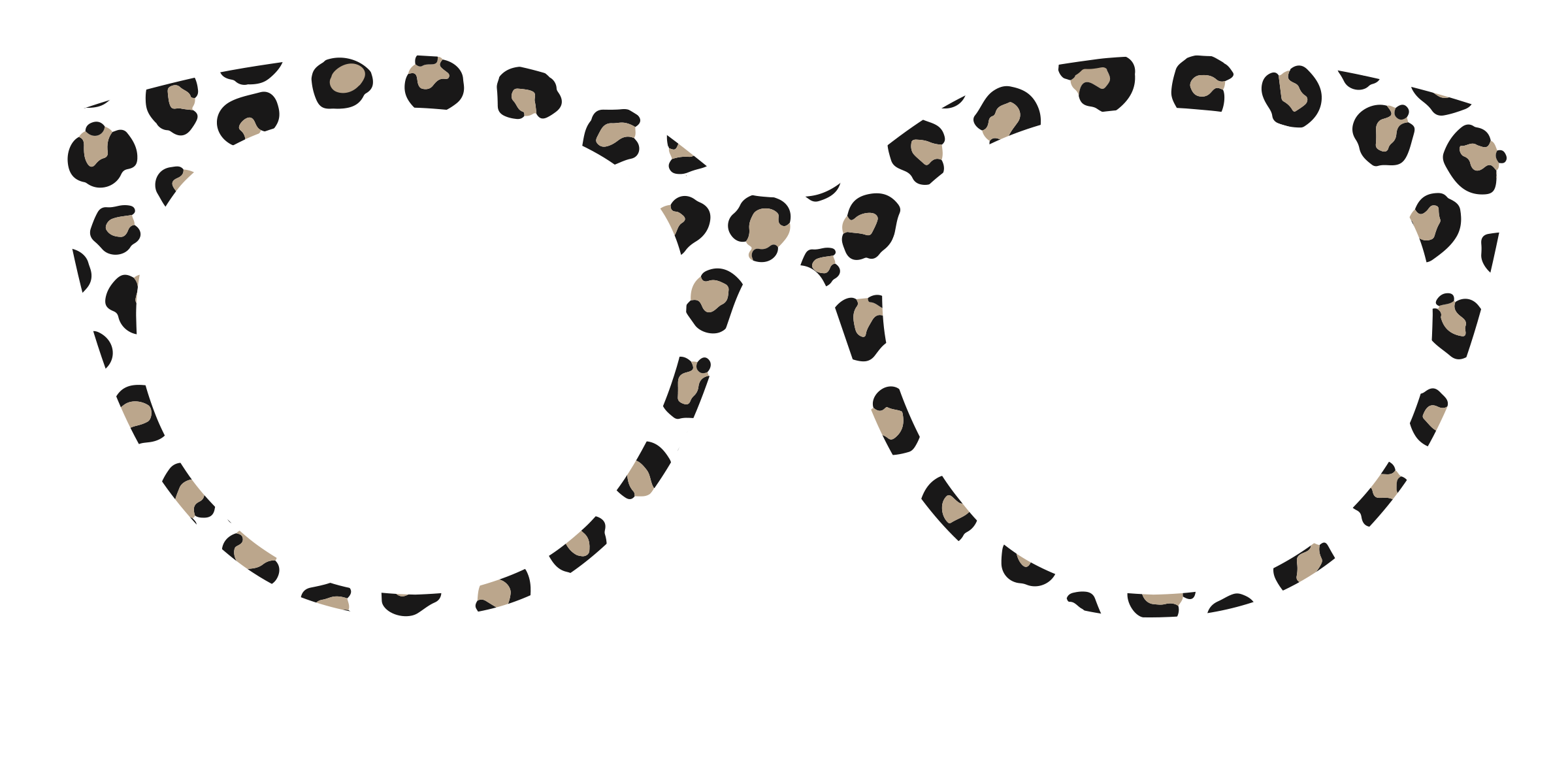 The Classic Cheetah - Image 34