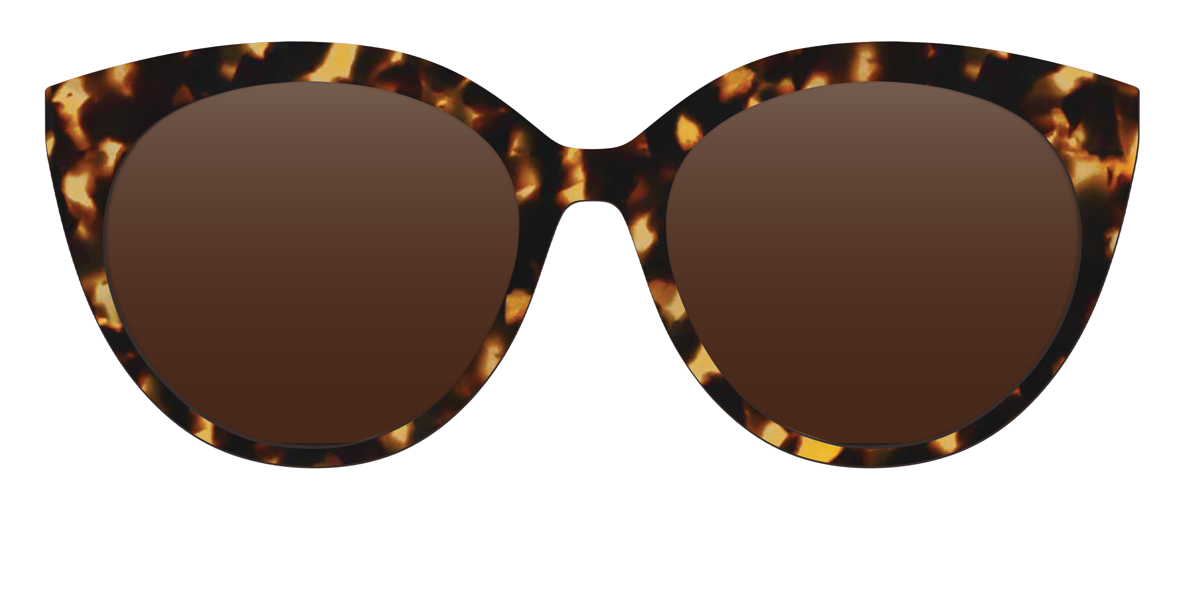 The Polarized Tortoise Sun Top - Image 25
