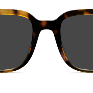 The Murphy - Tortoise Sun
