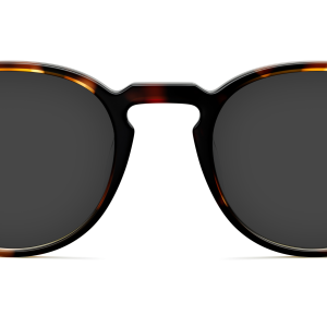 The Soto - Tortoise Sun
