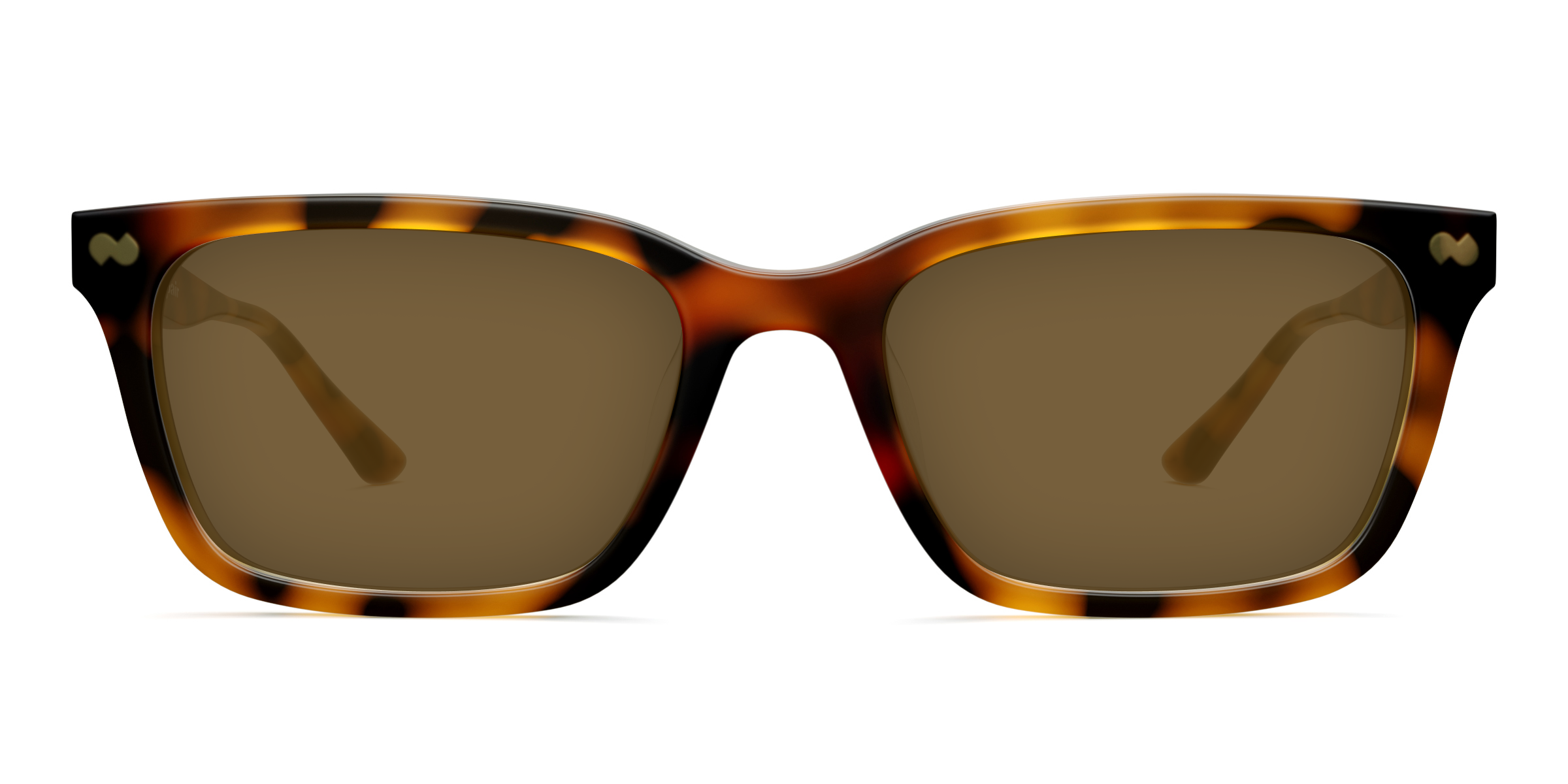 The Larkin - Tortoise Sun - Image 2