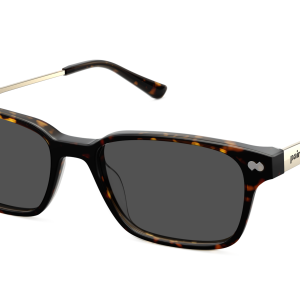The Finley - Tortoise Acetate Gold Metal Sun