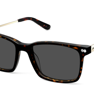 The Kirby - Tortoise Acetate Gold Metal Sun