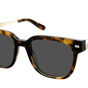 The Murphy - Tortoise Acetate Gold Metal Sun