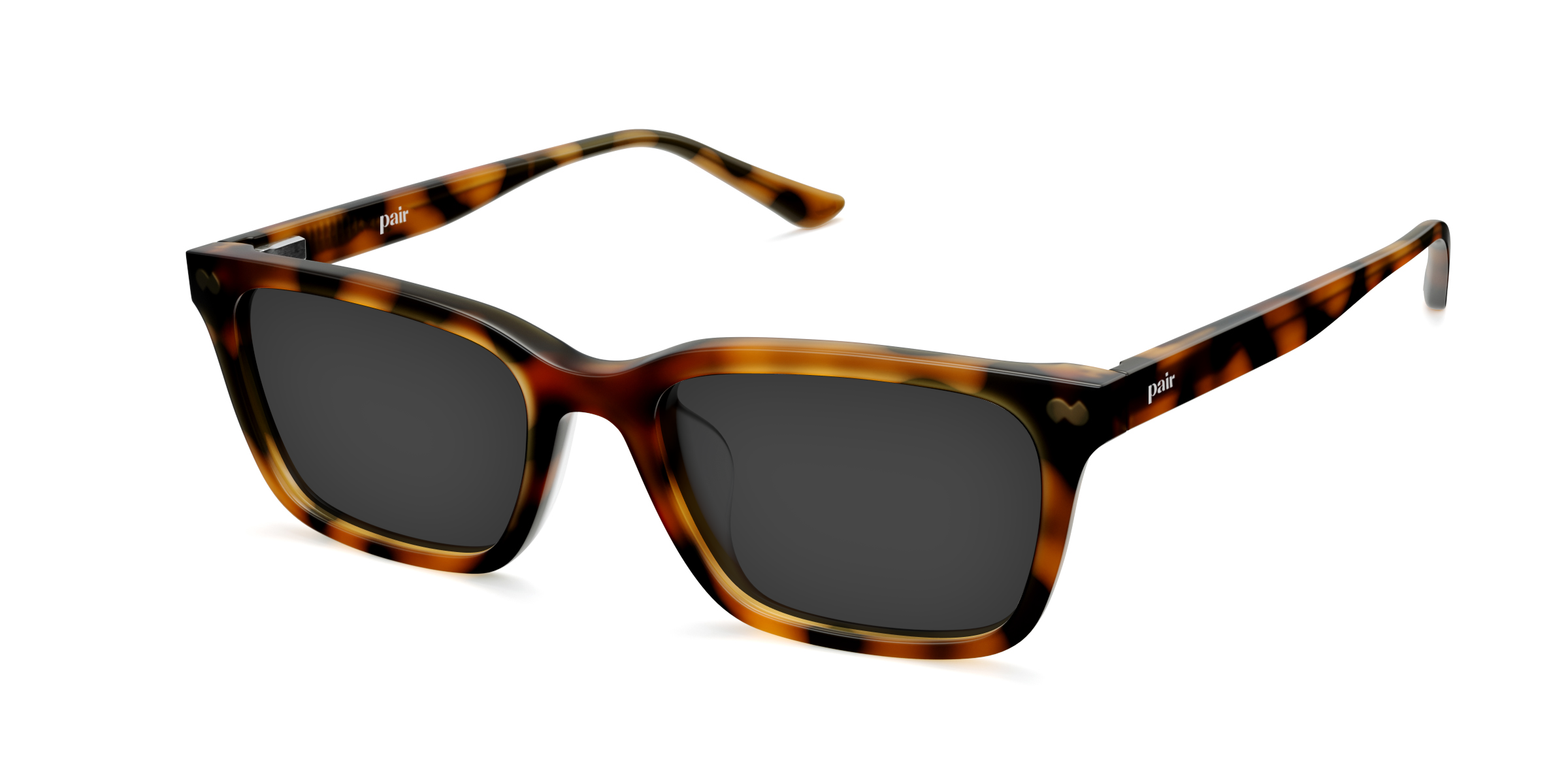 The Larkin - Tortoise Sun - Image 3