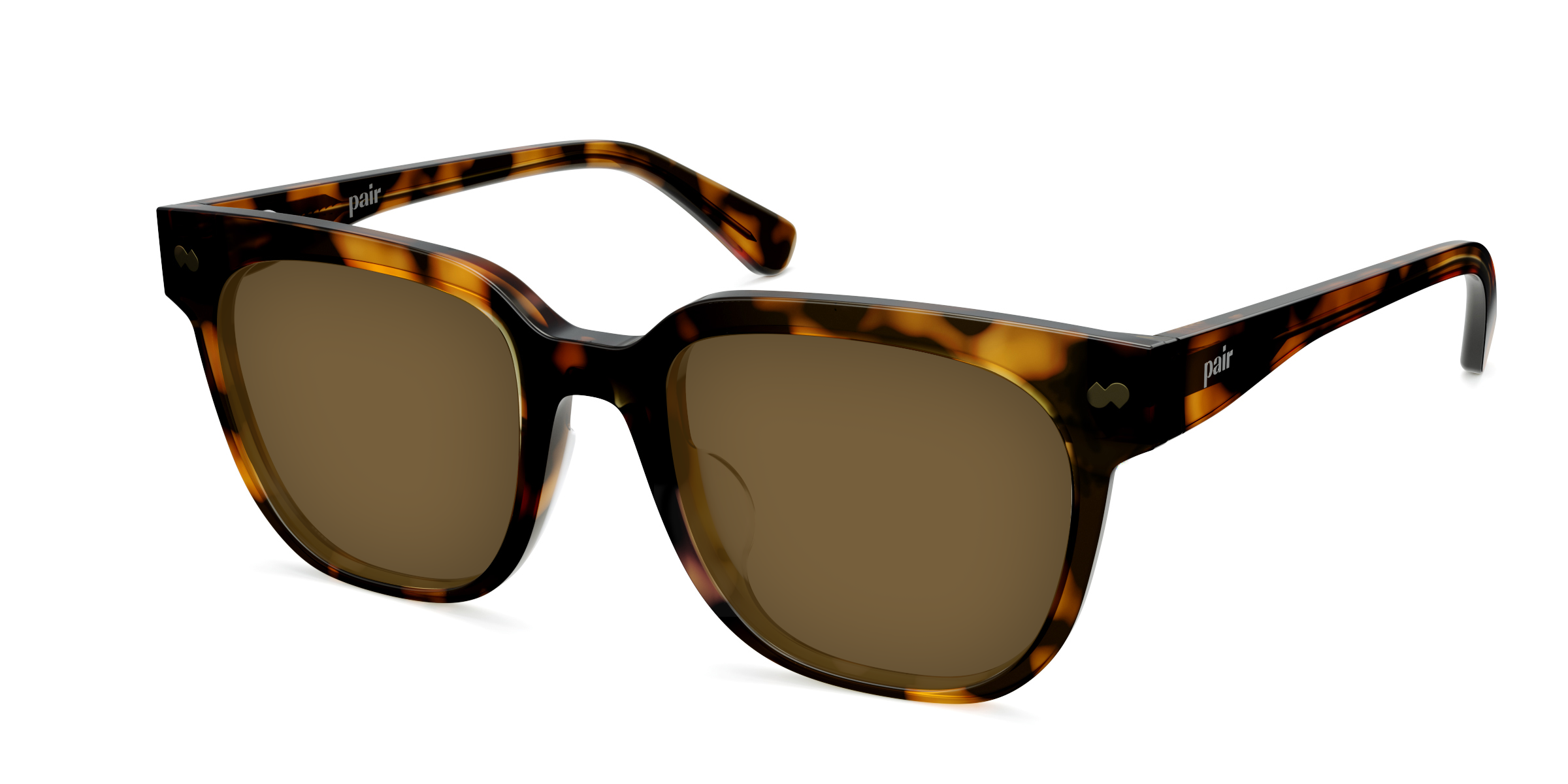 The Murphy - Tortoise Sun - Image 4