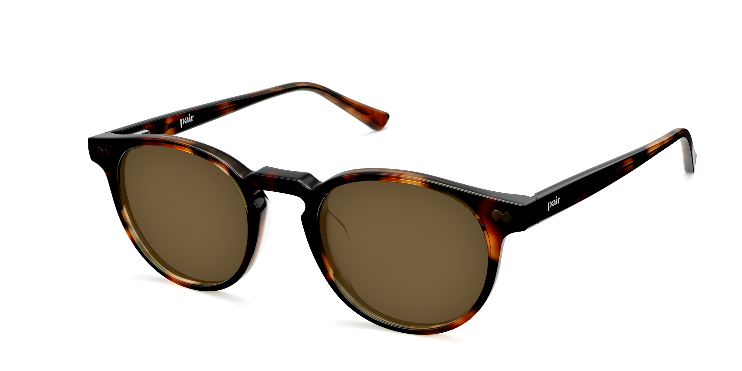 The Soto - Tortoise Sun - Image 4